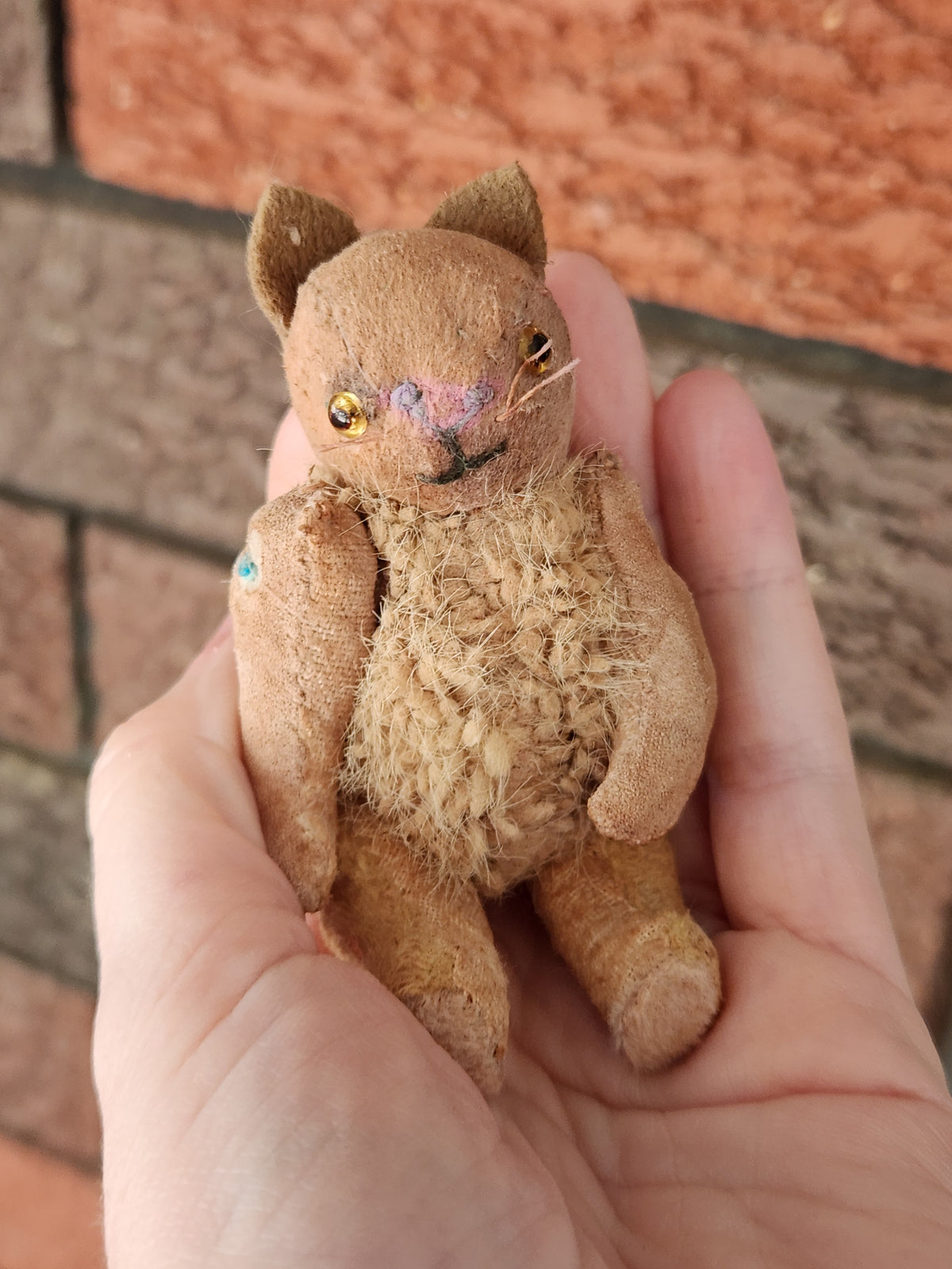 Raggy Cat (Pinkery)