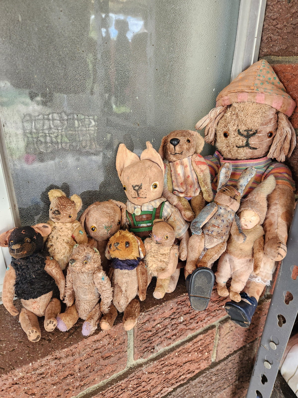 Raggy Dog