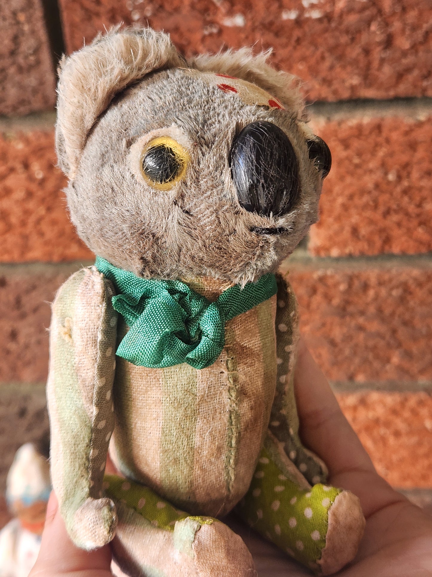 Raggy Koala