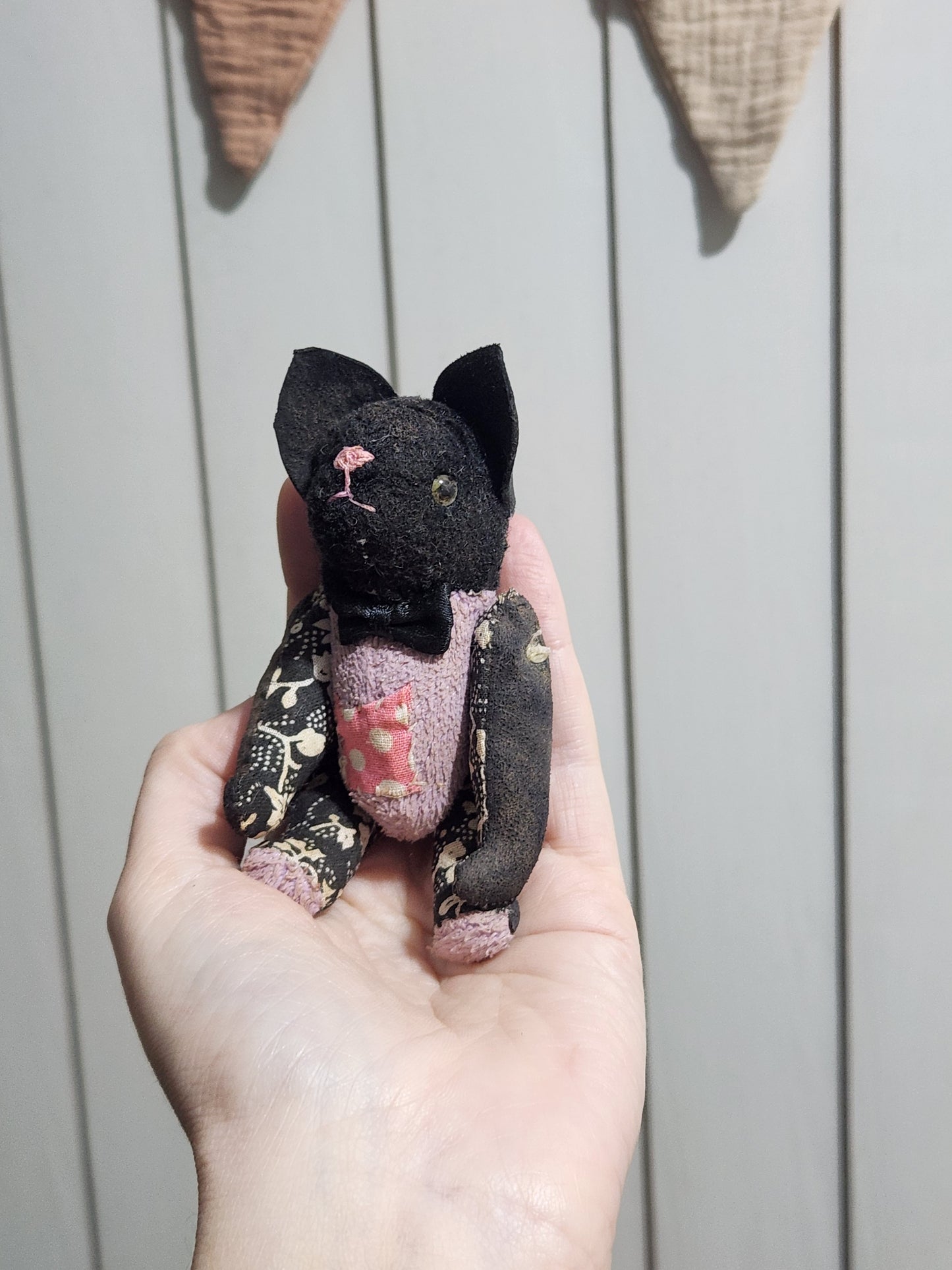 Raggy Cat