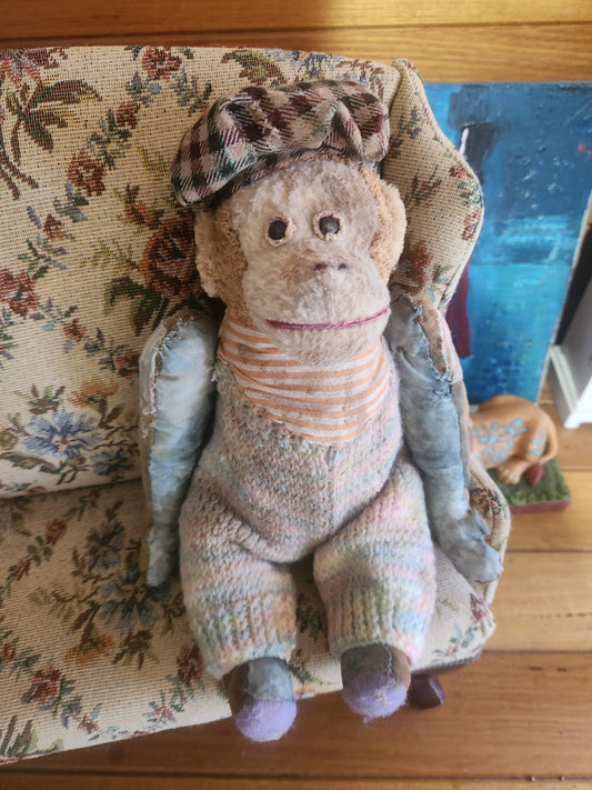 Raggy Monkey