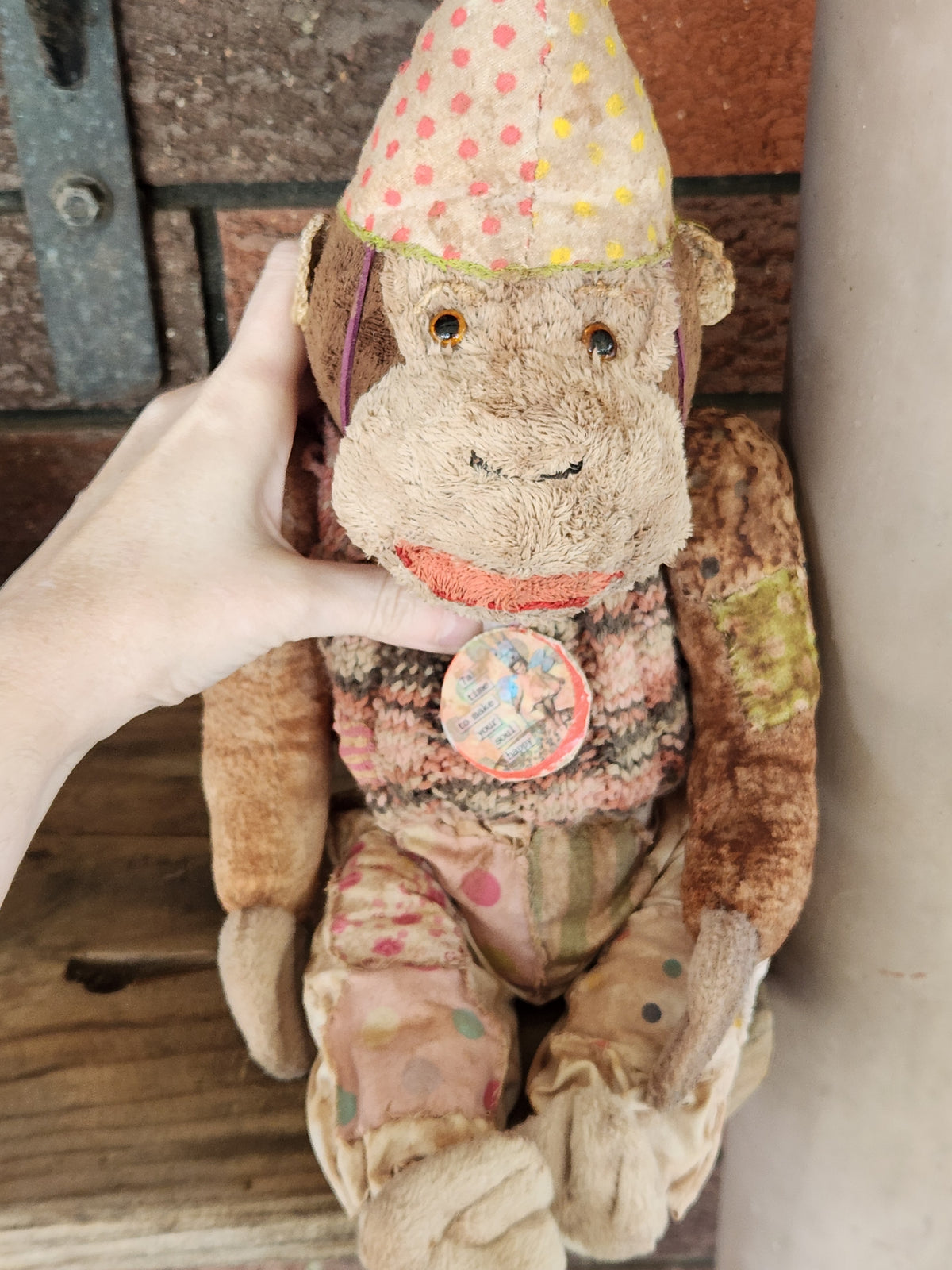 Bug Raggy Chimp