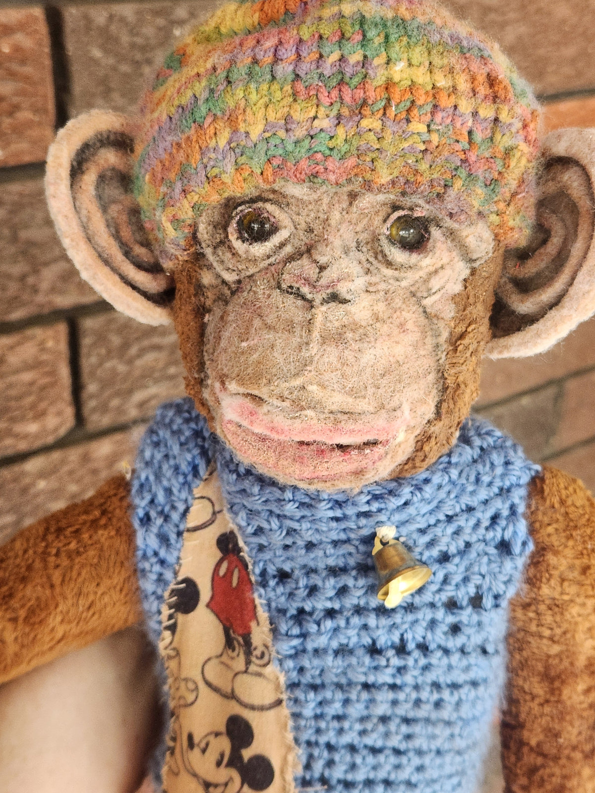Raggy Chimp