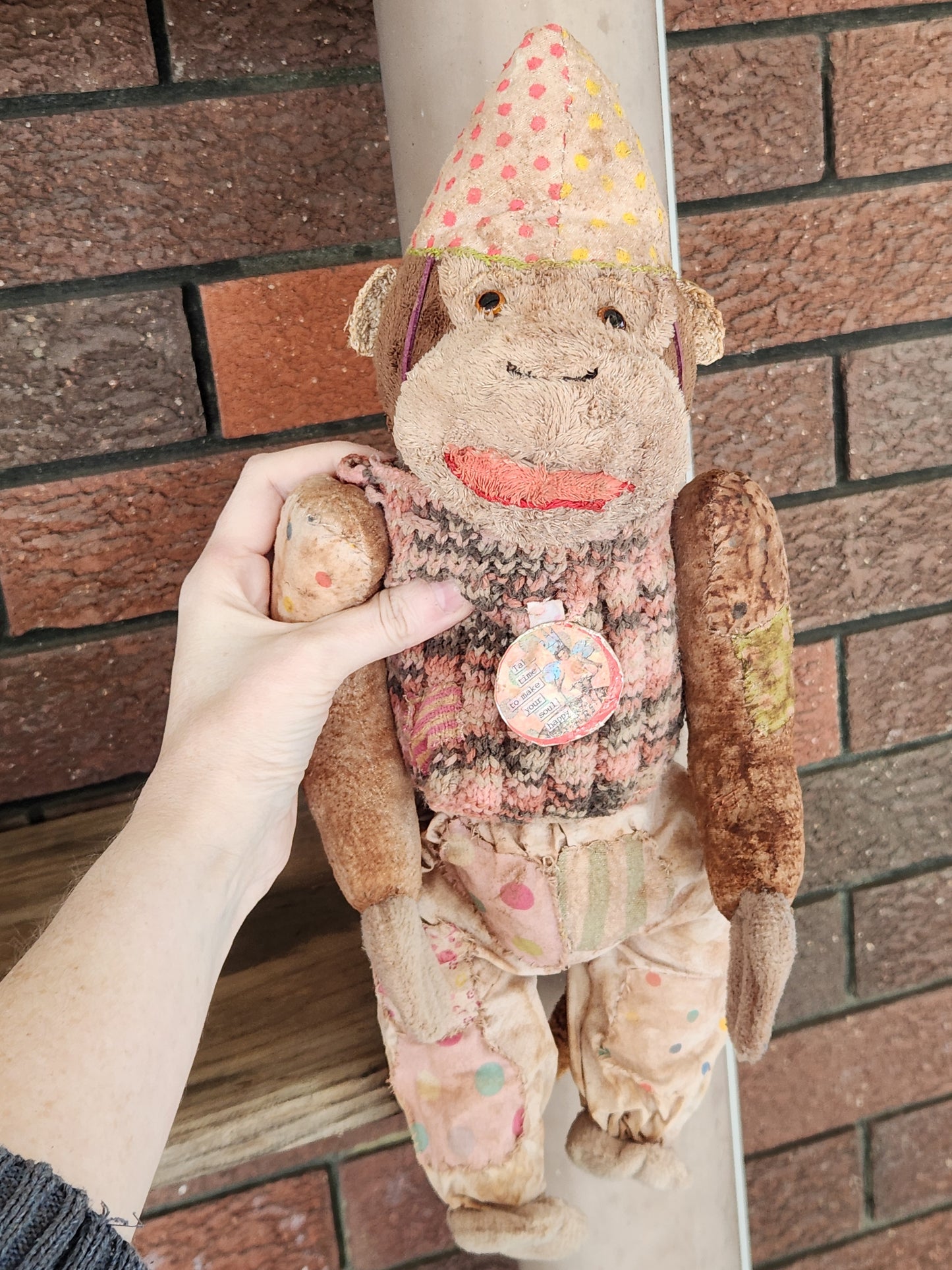 Bug Raggy Chimp