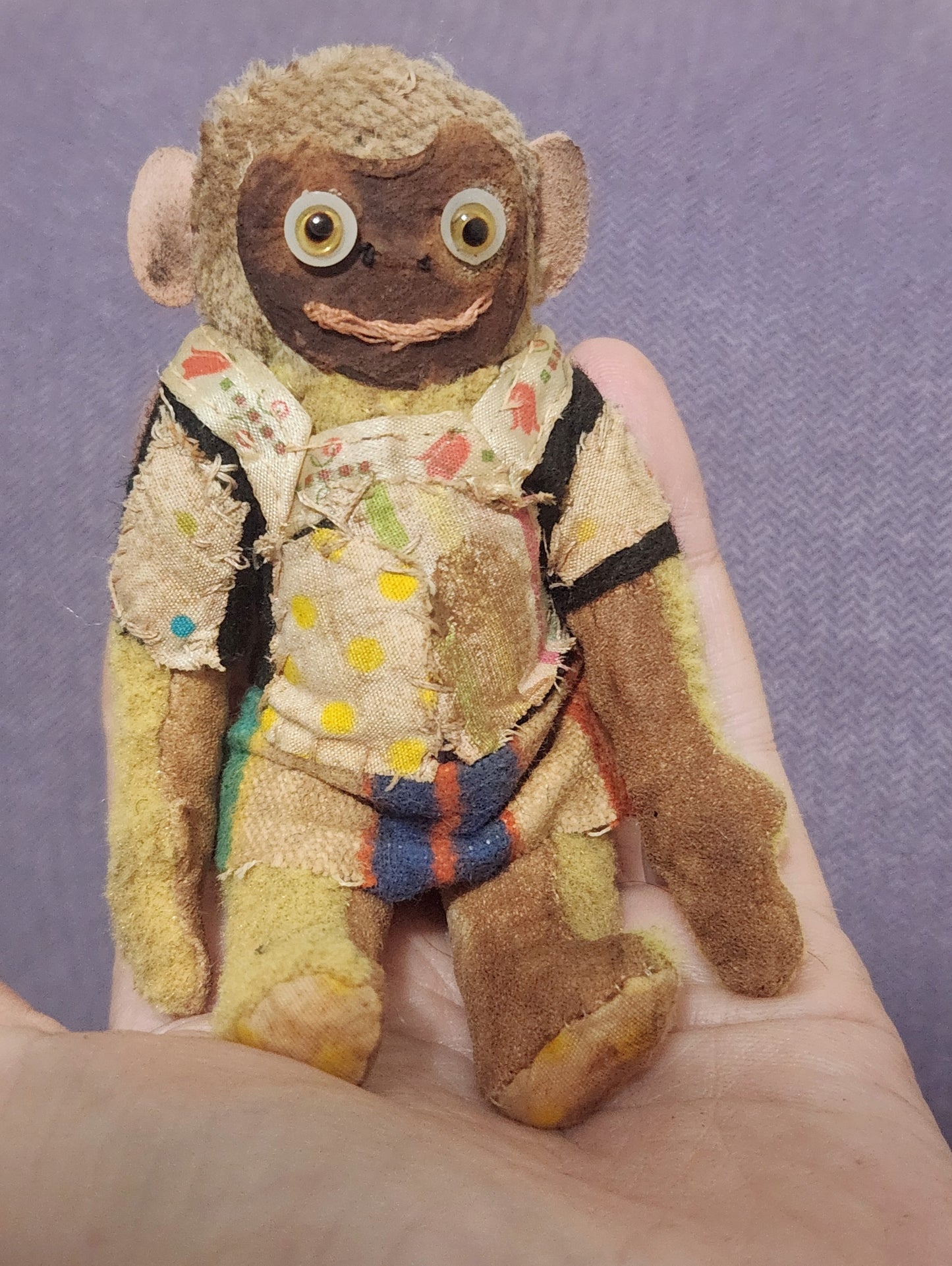 Raggy Monkey