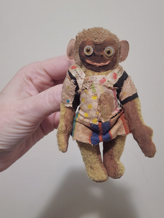 Raggy Monkey