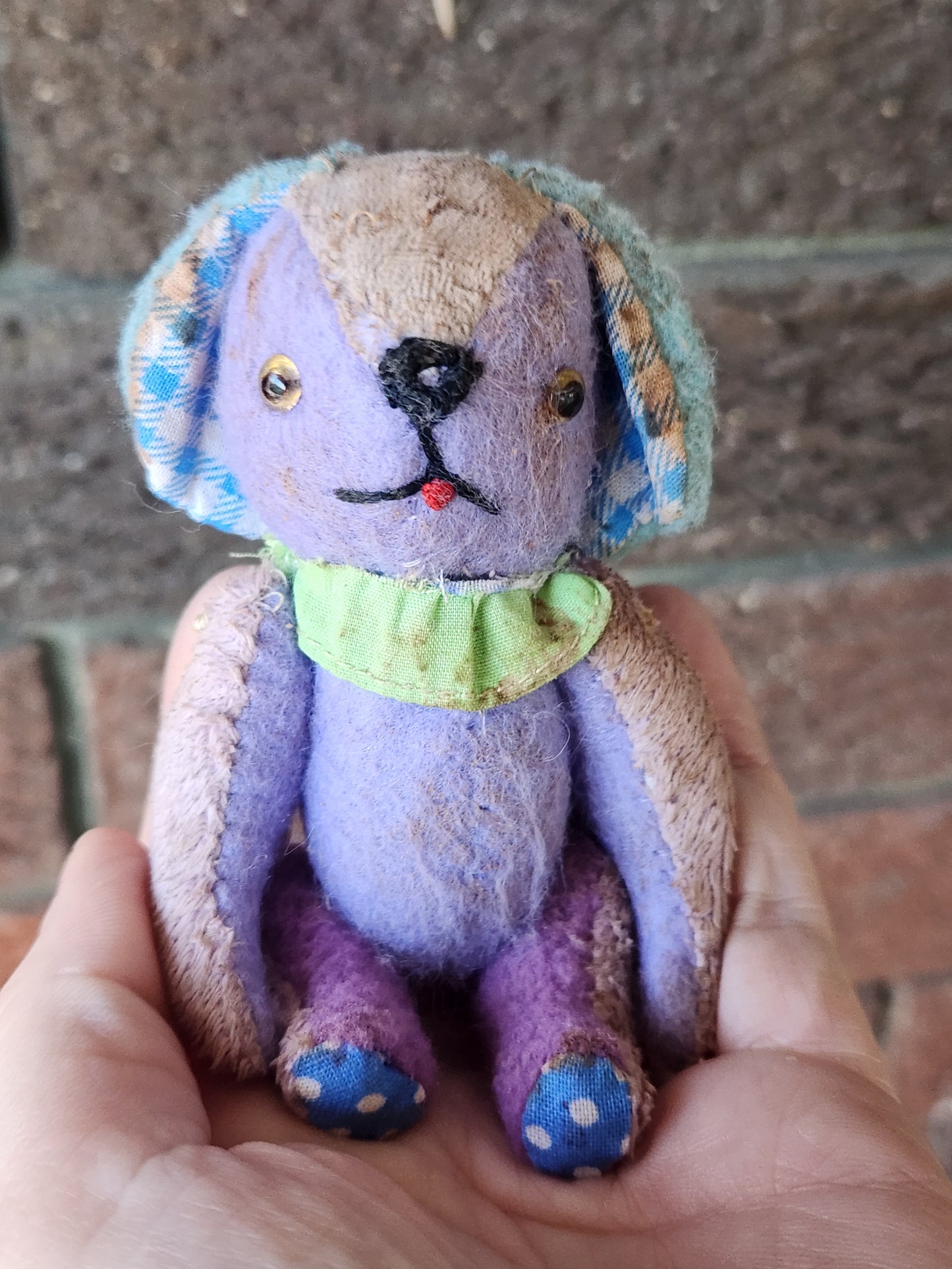 Raggy Dog
