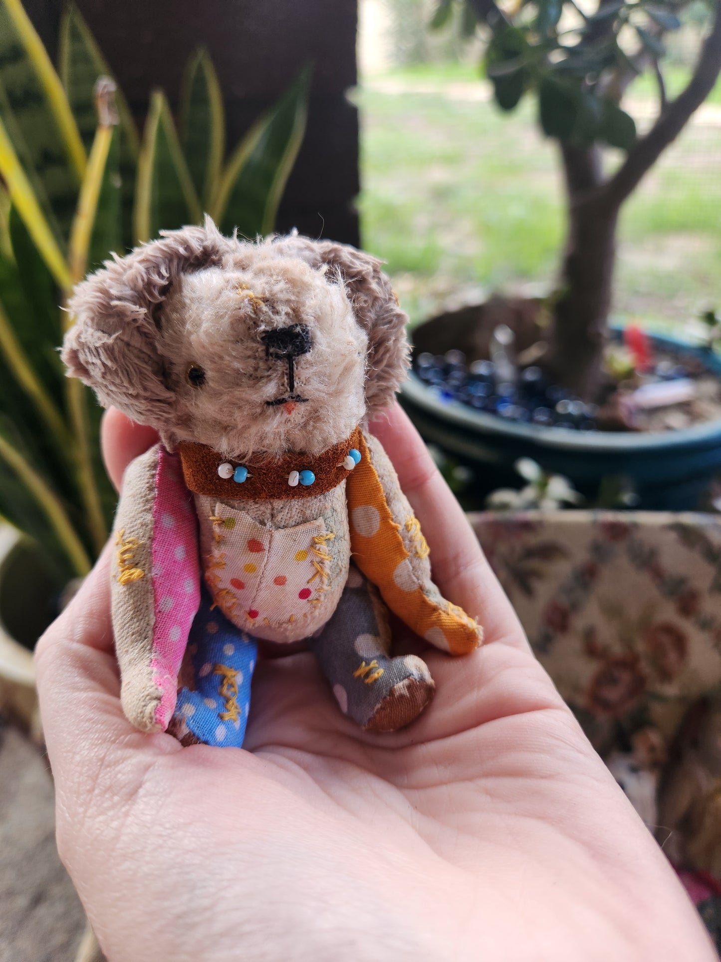 Raggy Dog