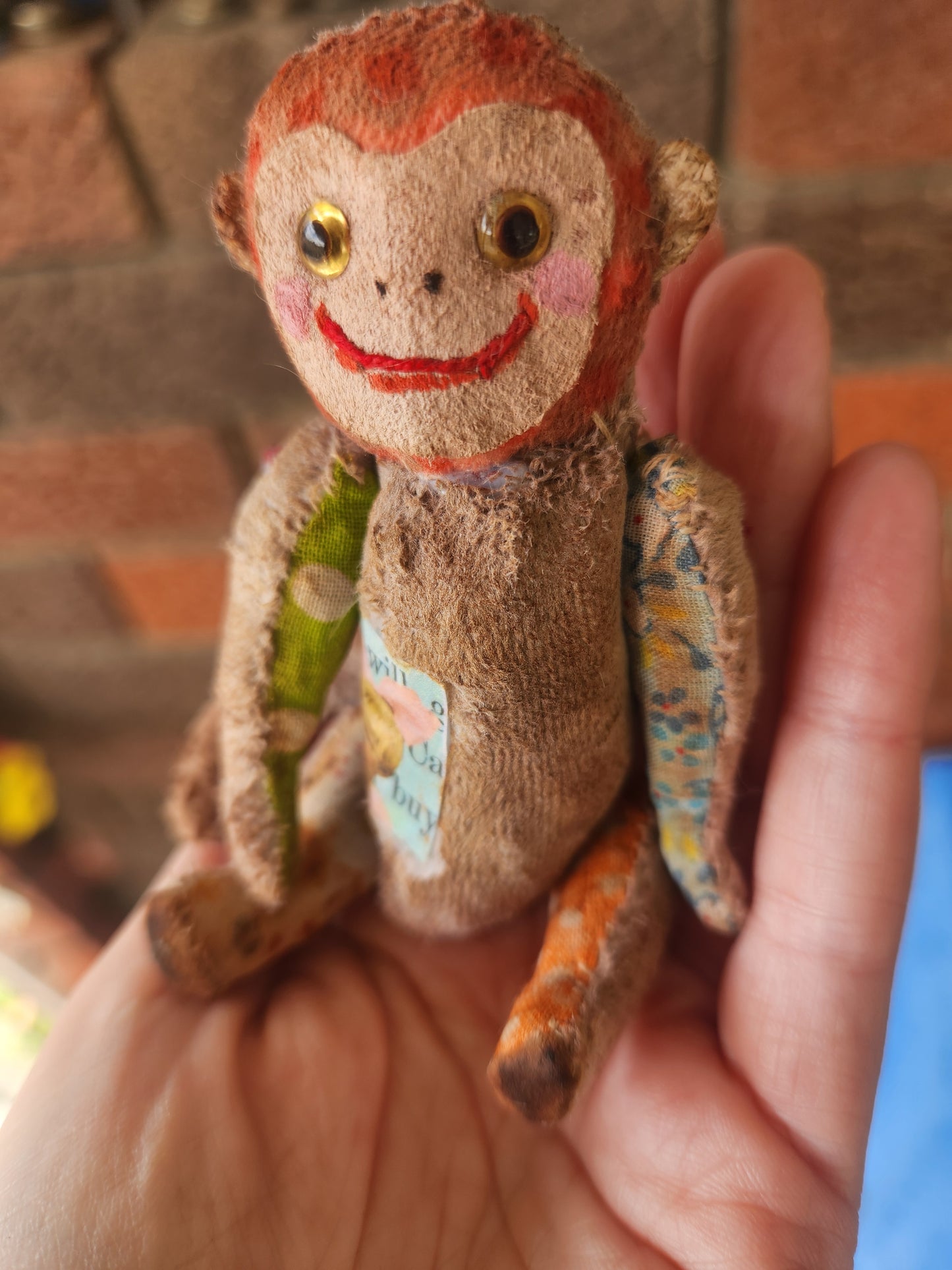 Raggy Monkey