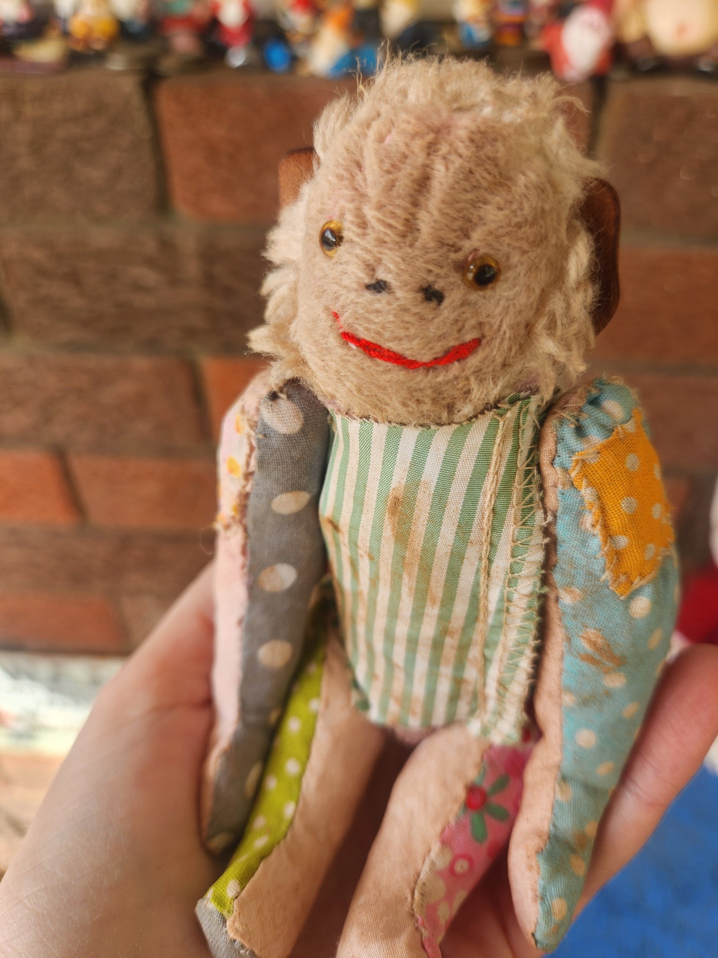 Raggy Monkey