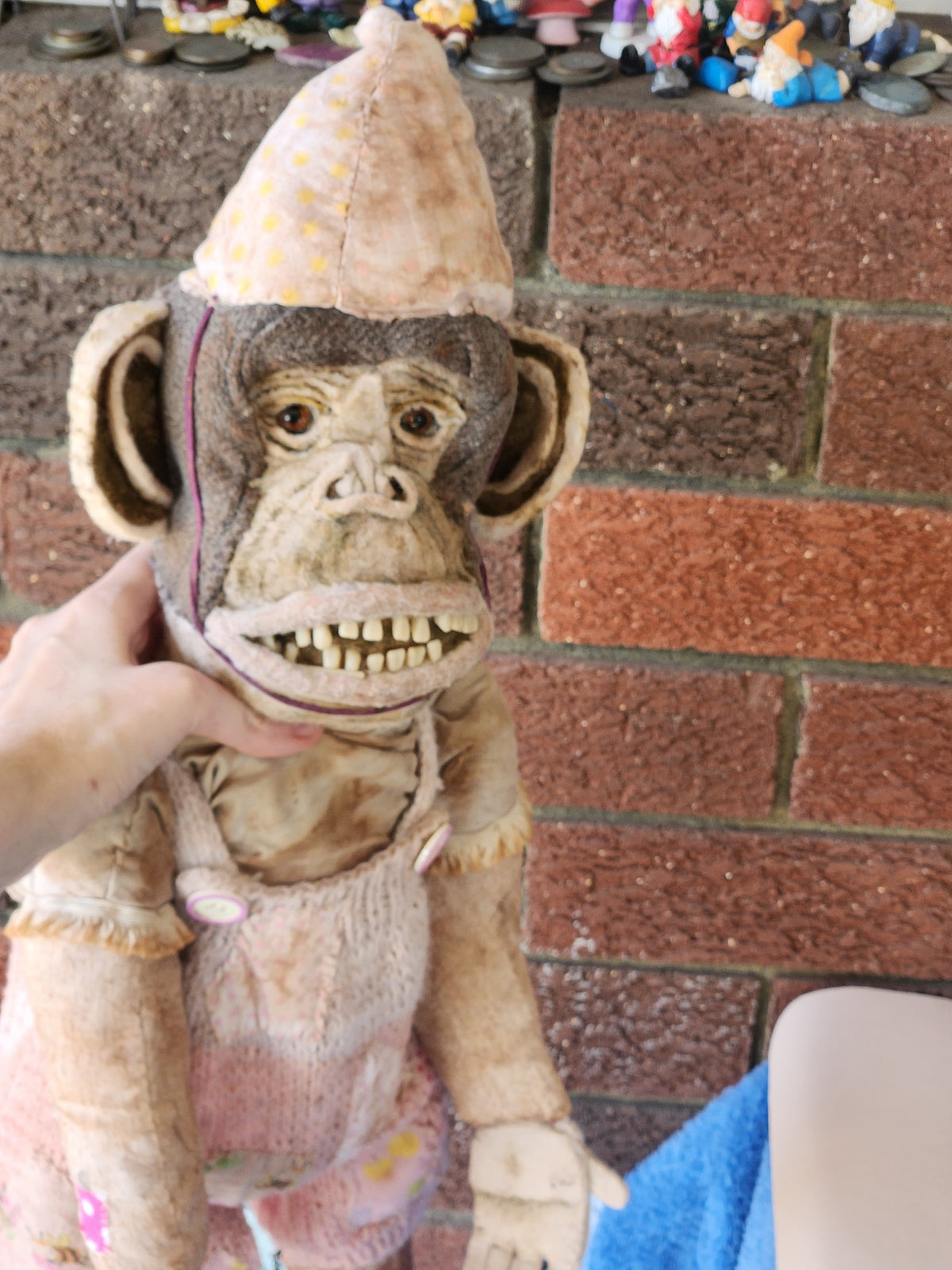 Gabby the Chimpanzee
