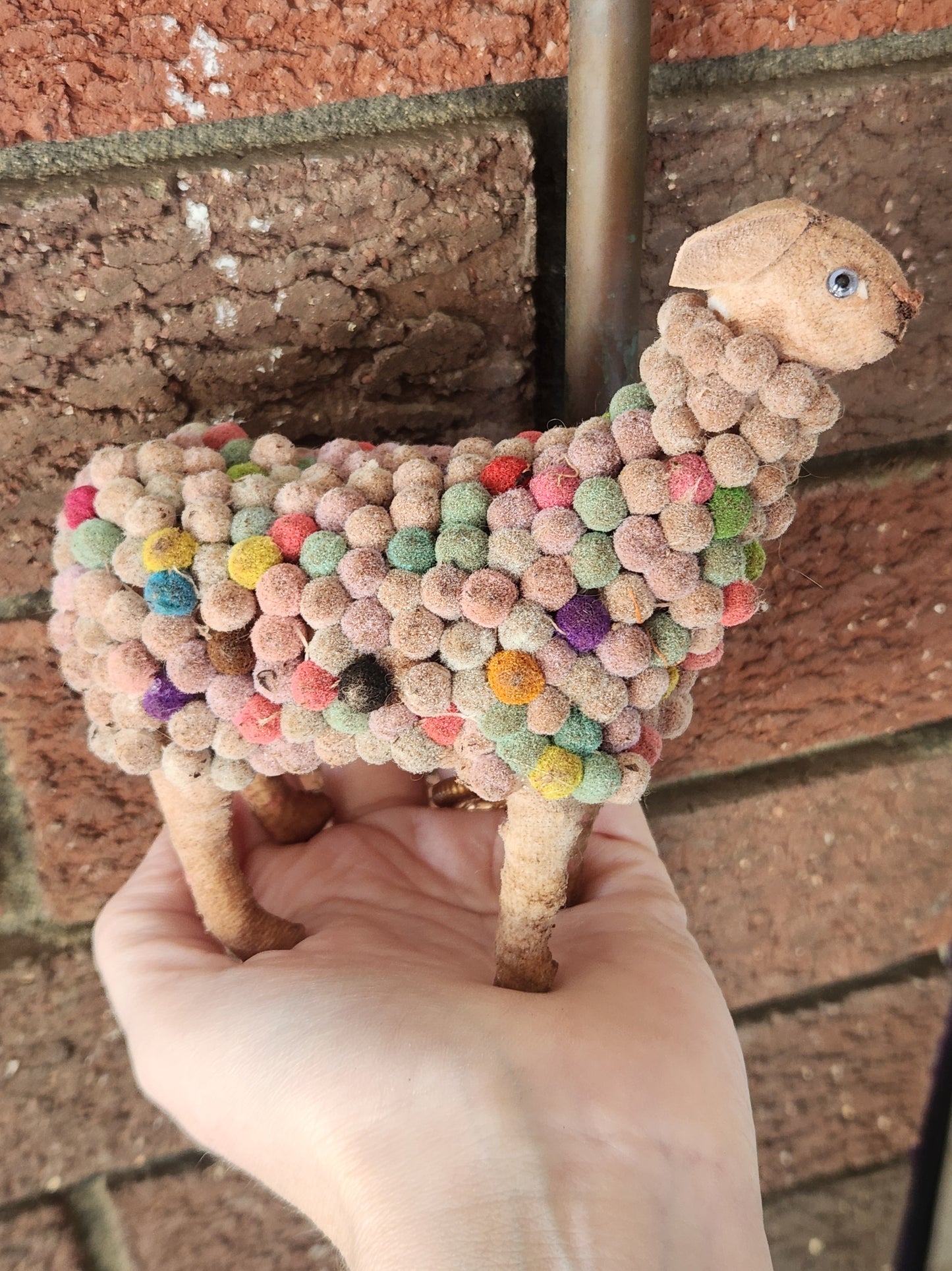 Rainbow Raggy Sheep