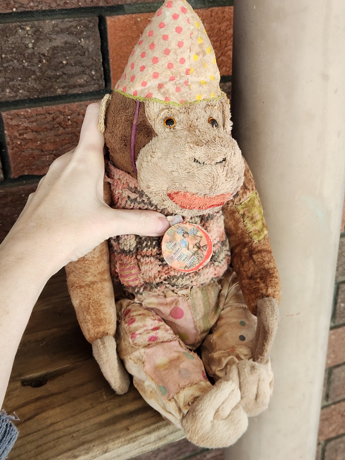 Bug Raggy Chimp
