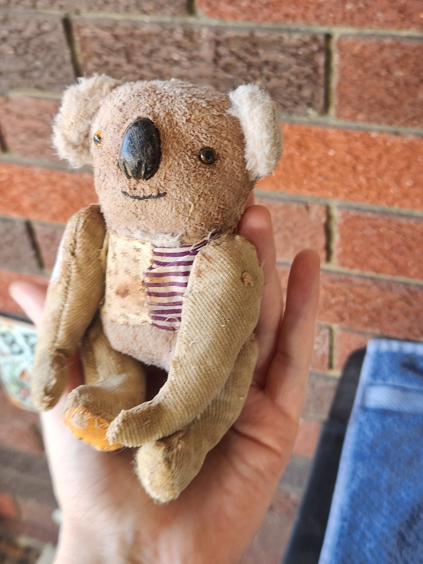 Raggy Koala