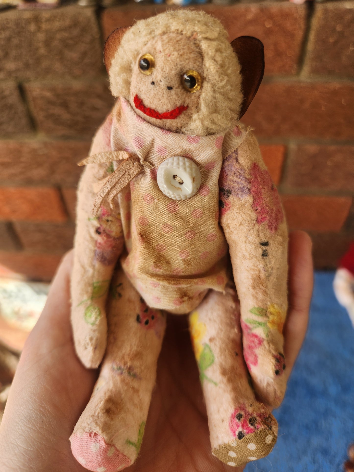 Raggy Monkey