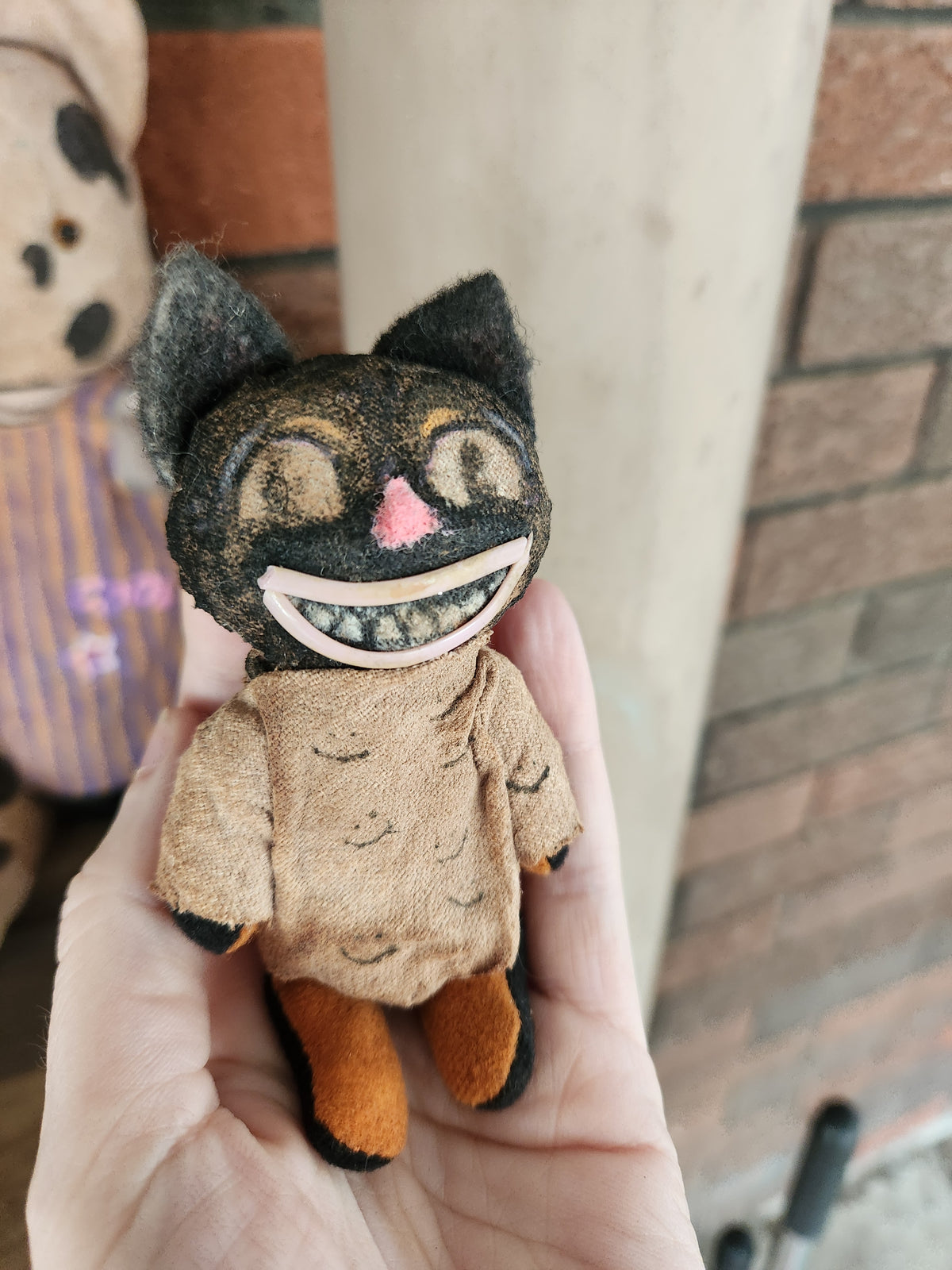 Raggy Cat
