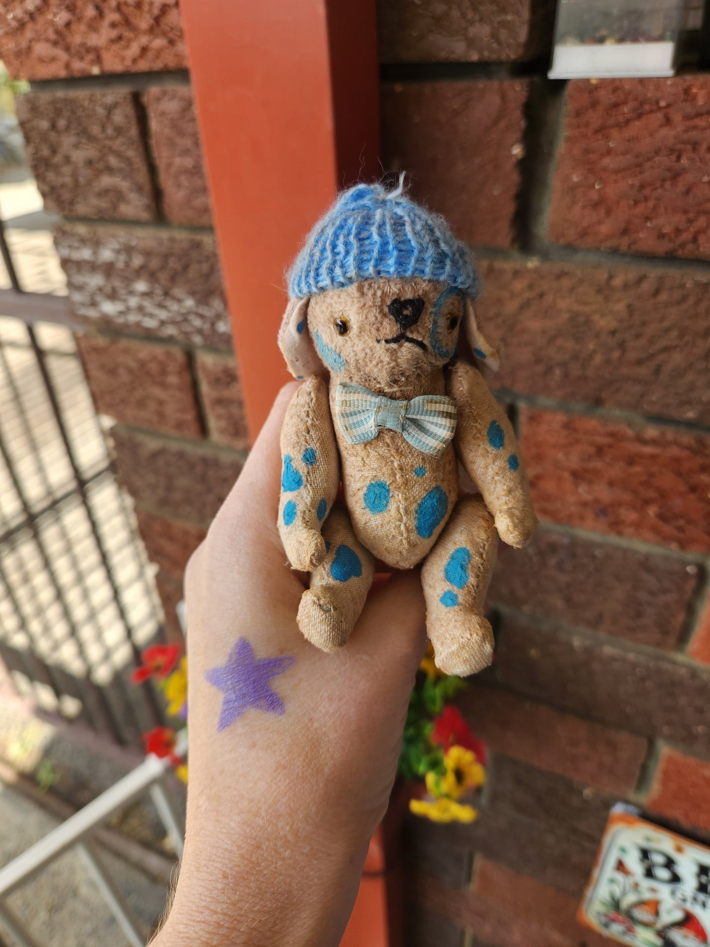 Raggy Dog