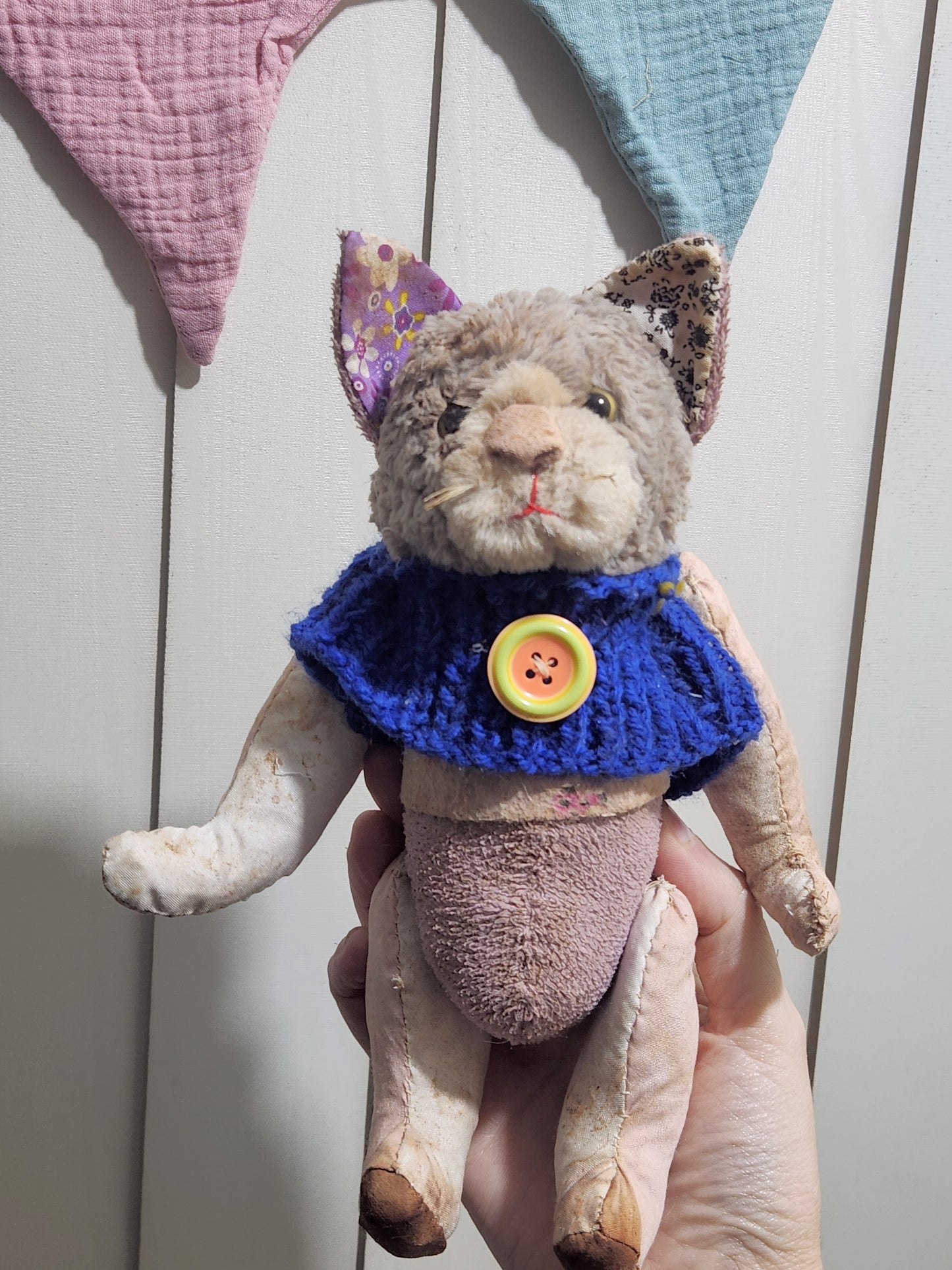 Raggy Cat