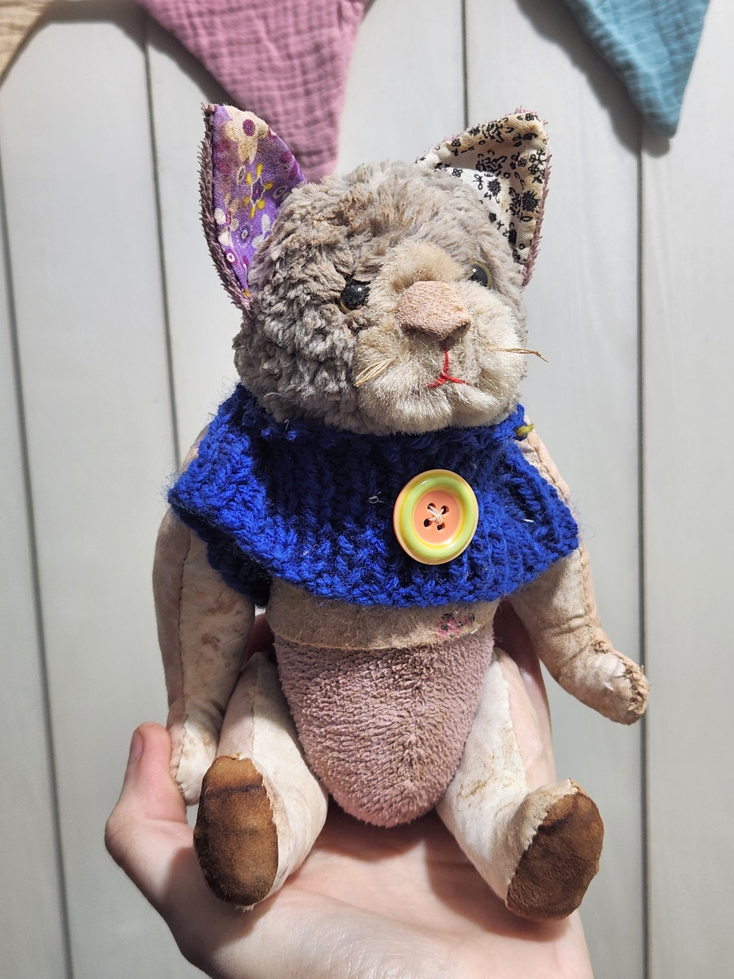 Raggy Cat