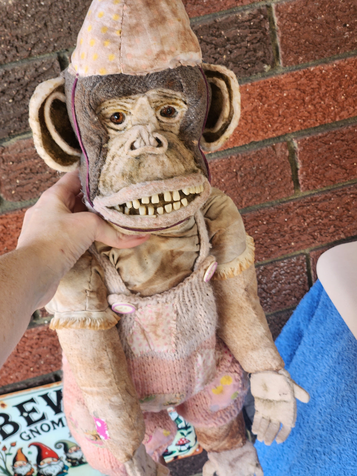 Gabby the Chimpanzee