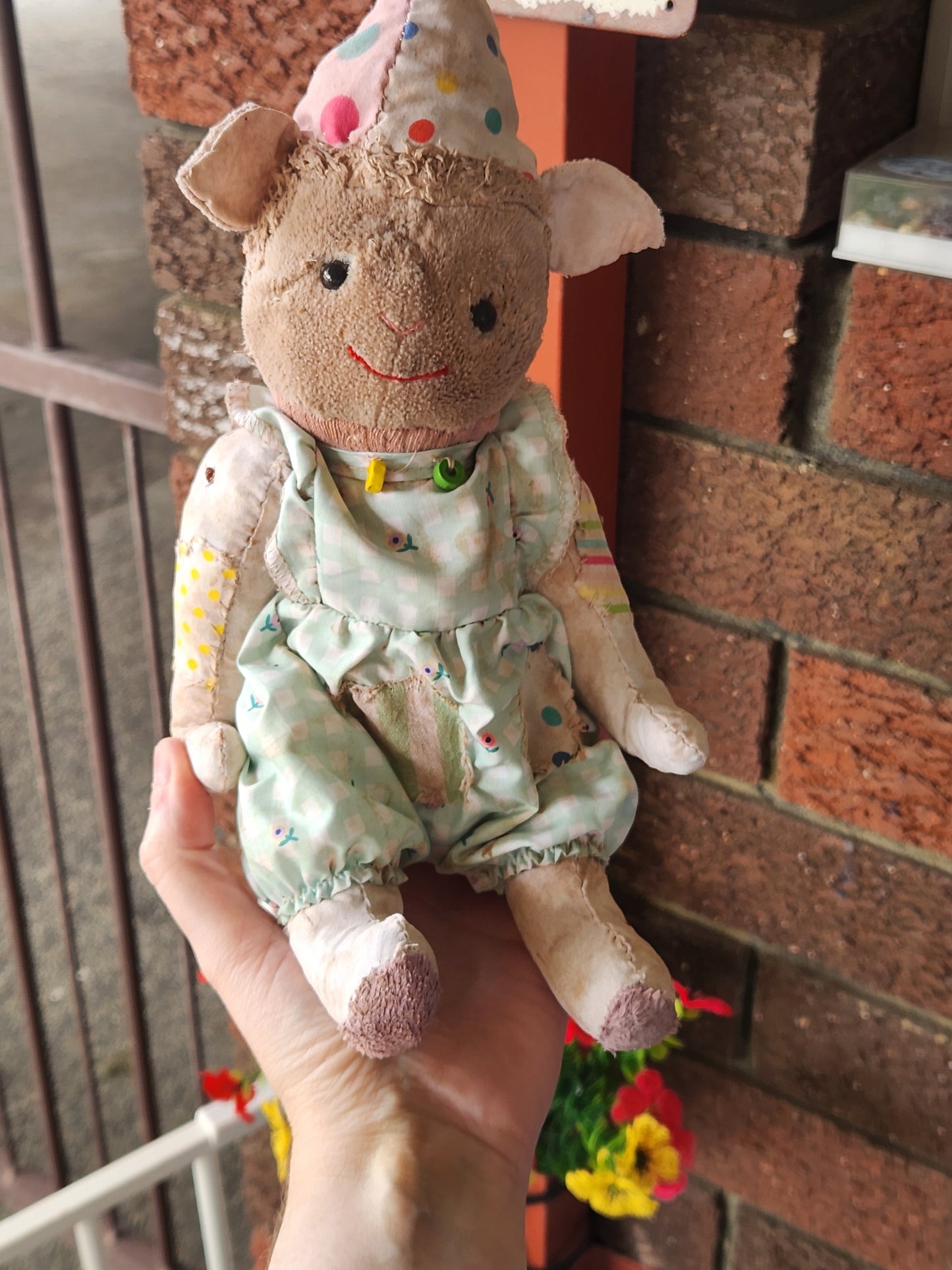 Raggy Clown Sheep