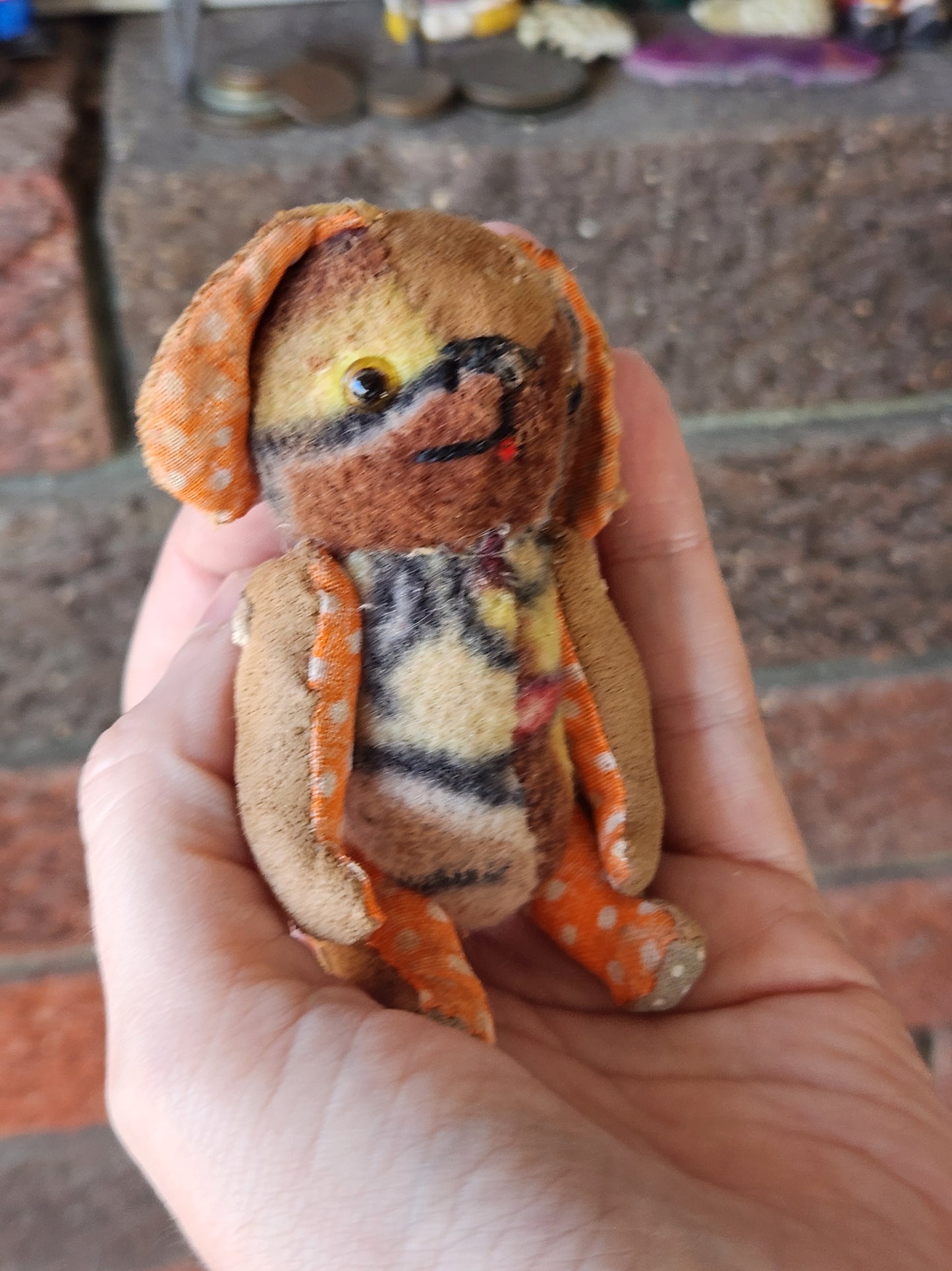 Raggy Dog