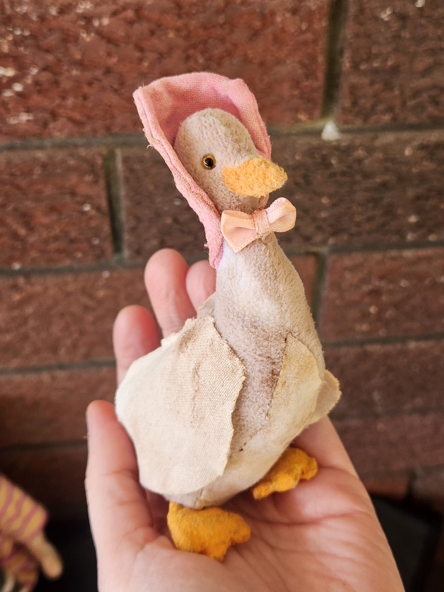 Raggy Puddleduck
