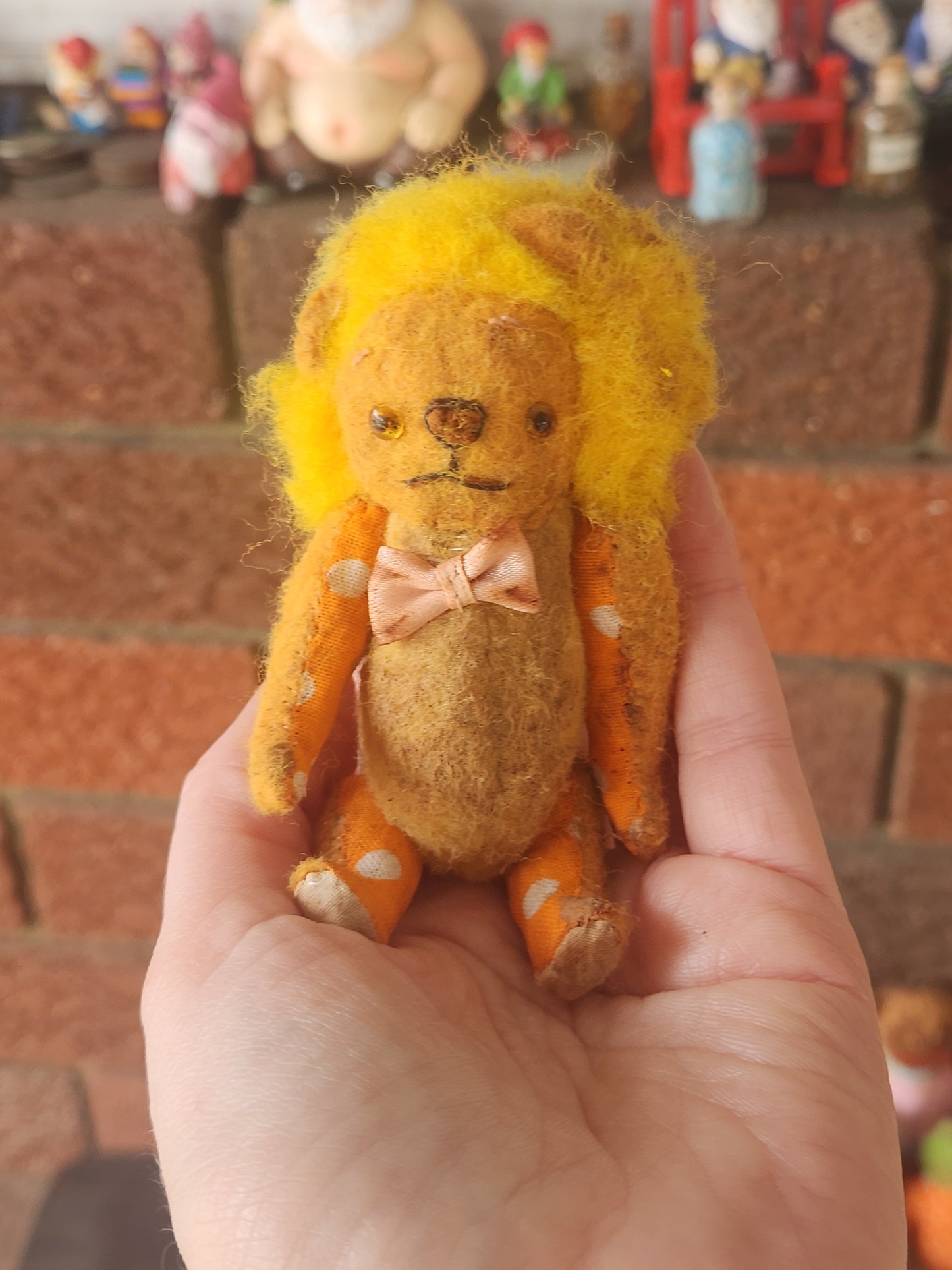 Raggy Lion