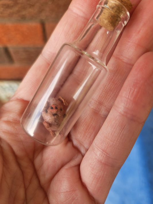 Raggy Pig in a bottle