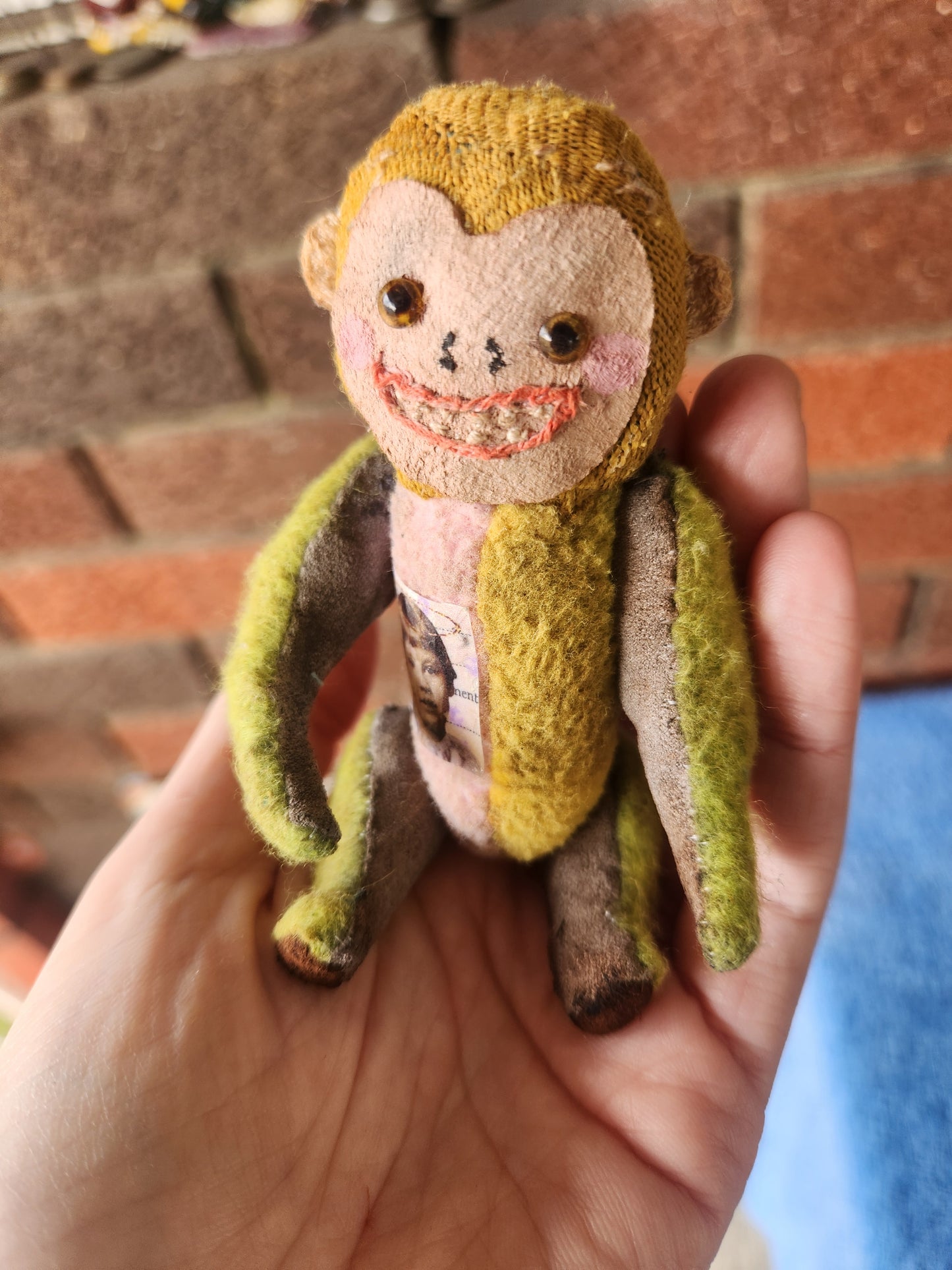 Raggy Monkey