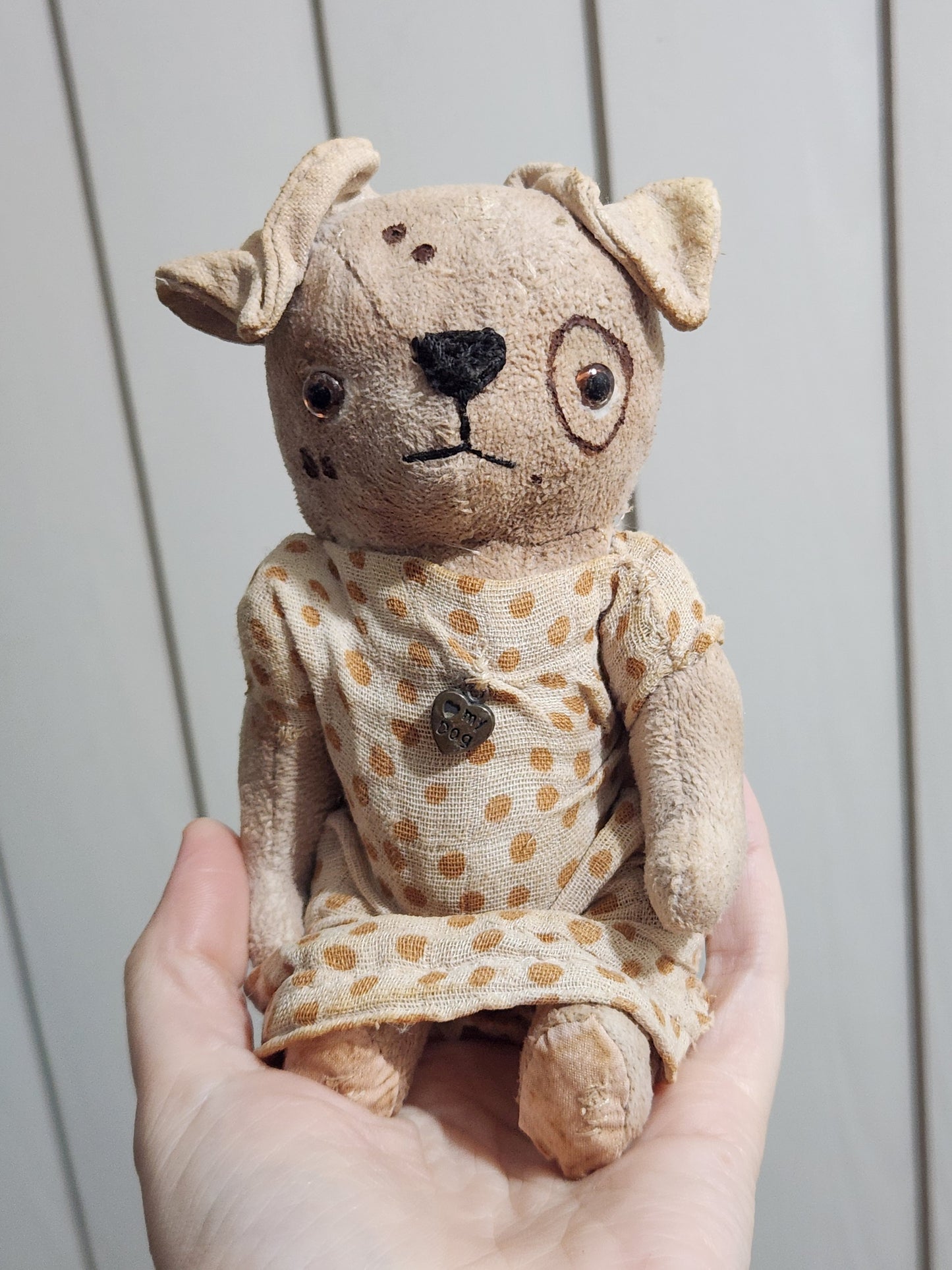 Raggy Dog