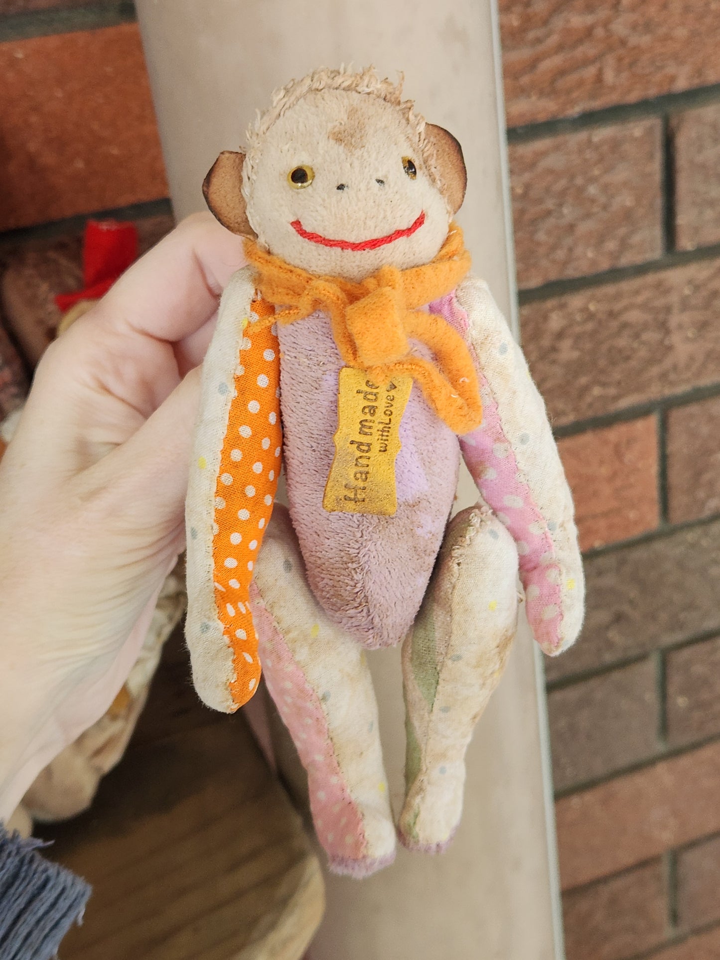 Raggy Monkey