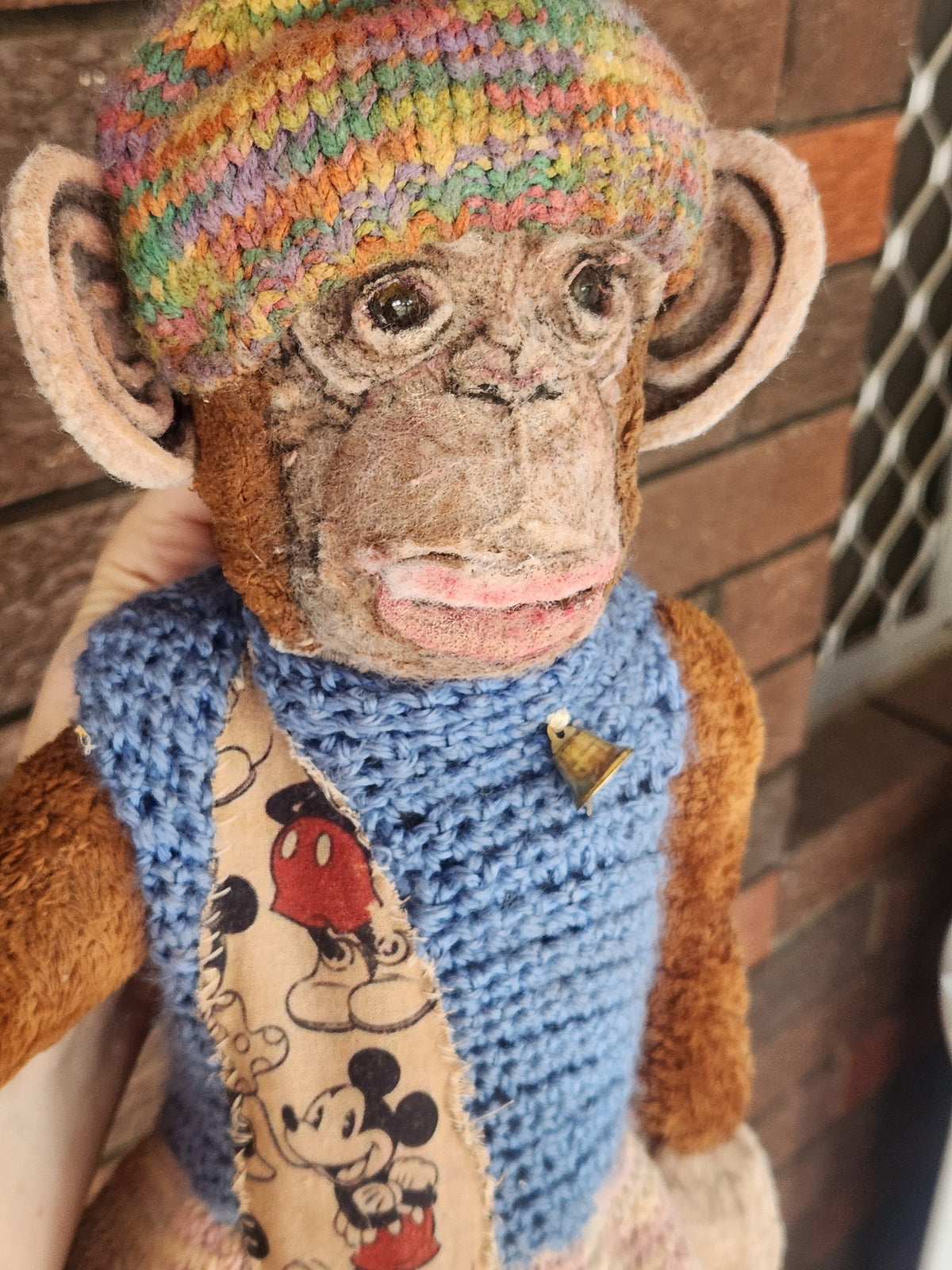 Raggy Chimp
