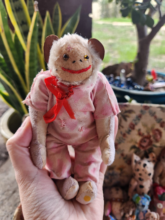 Raggy Monkey