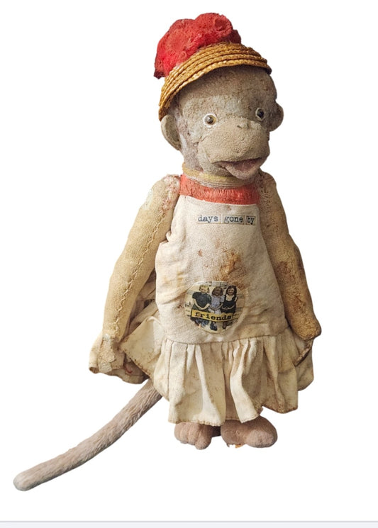 Raggy Monkey