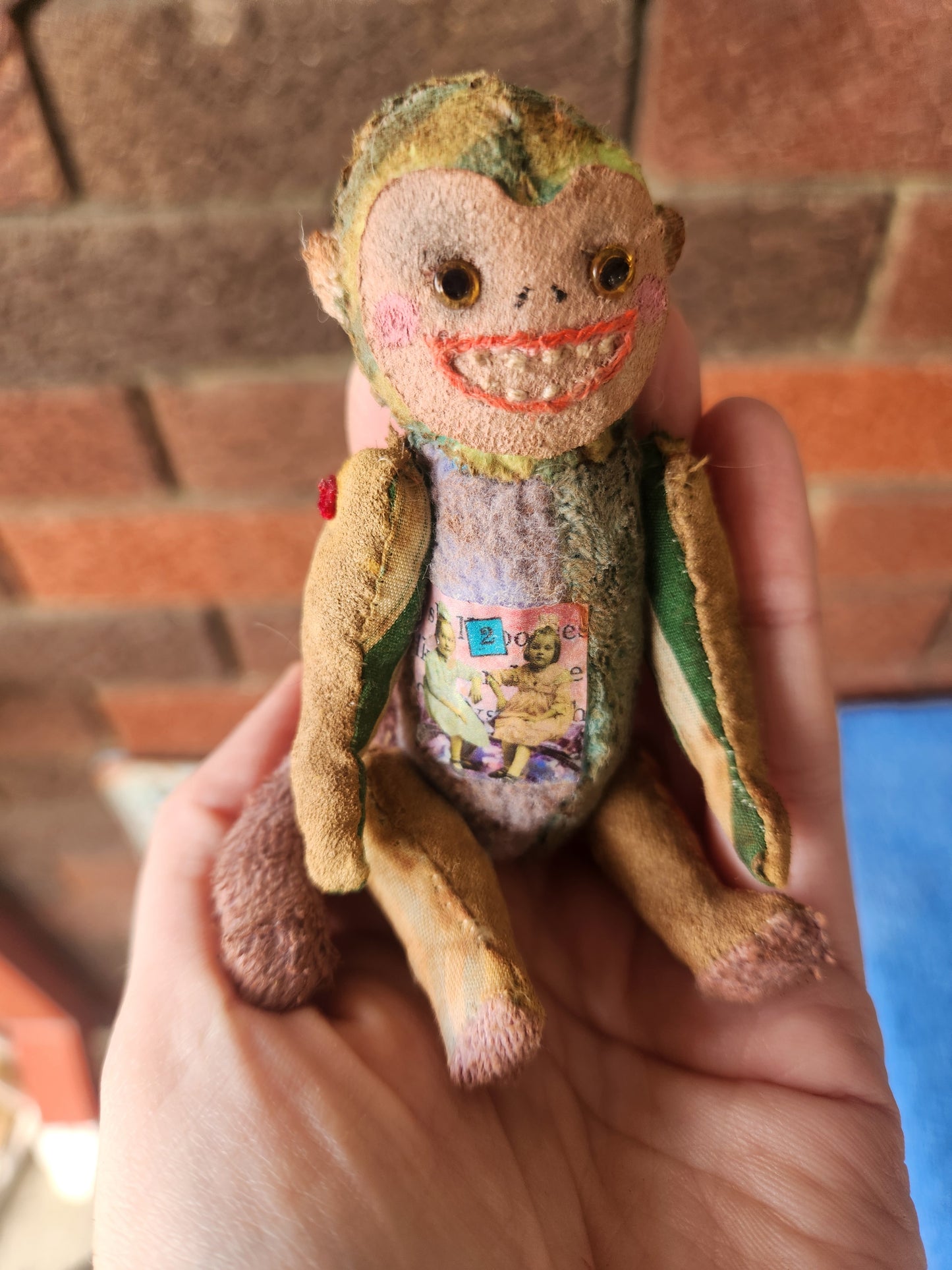 Raggy Monkey