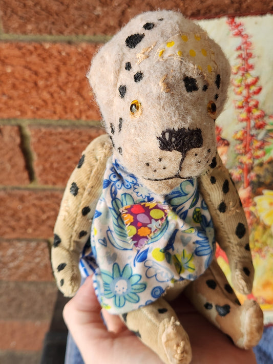 Raggy Dalmatian