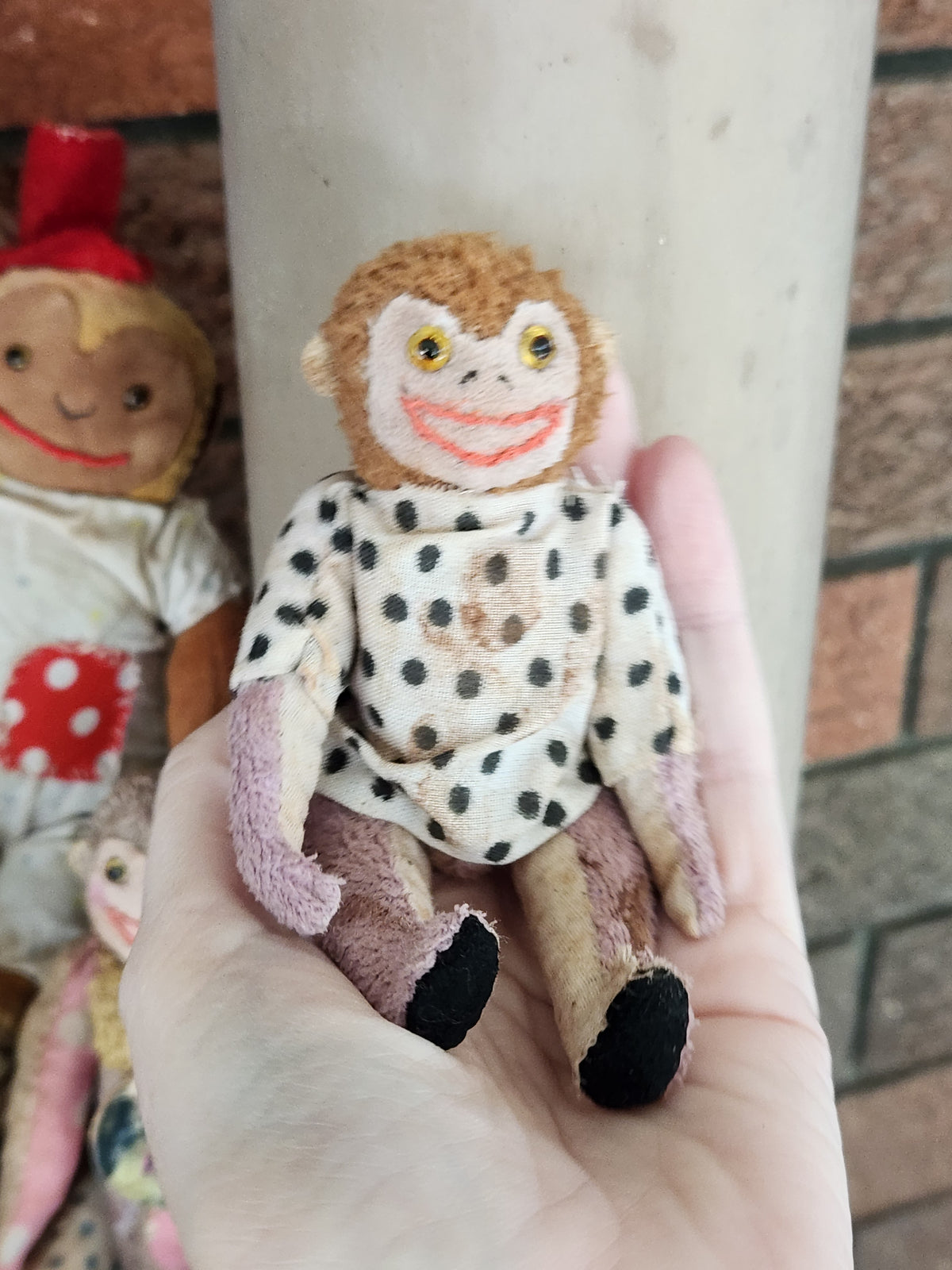 Raggy Monkey