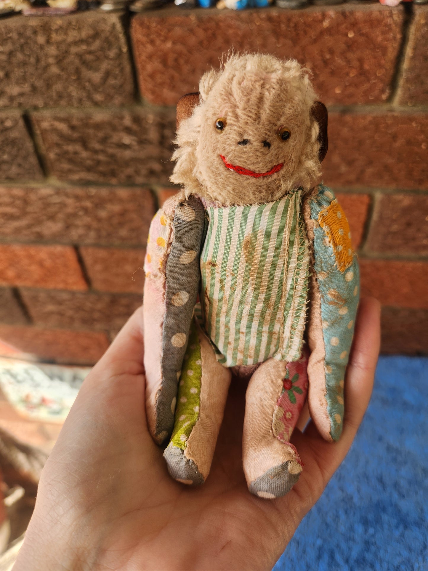 Raggy Monkey