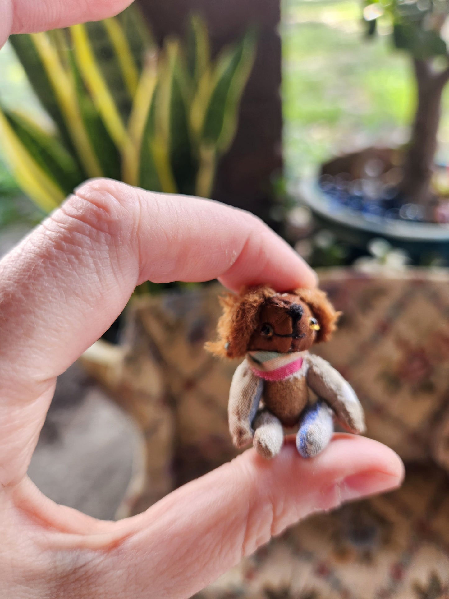 Mini Raggy Dog