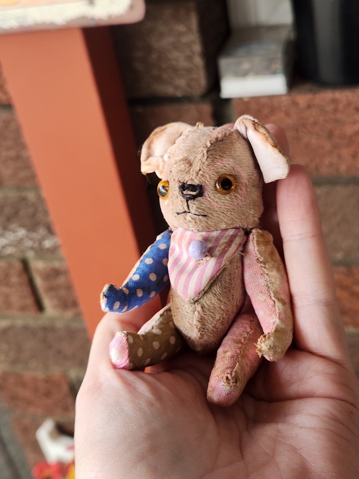 Raggy Pup