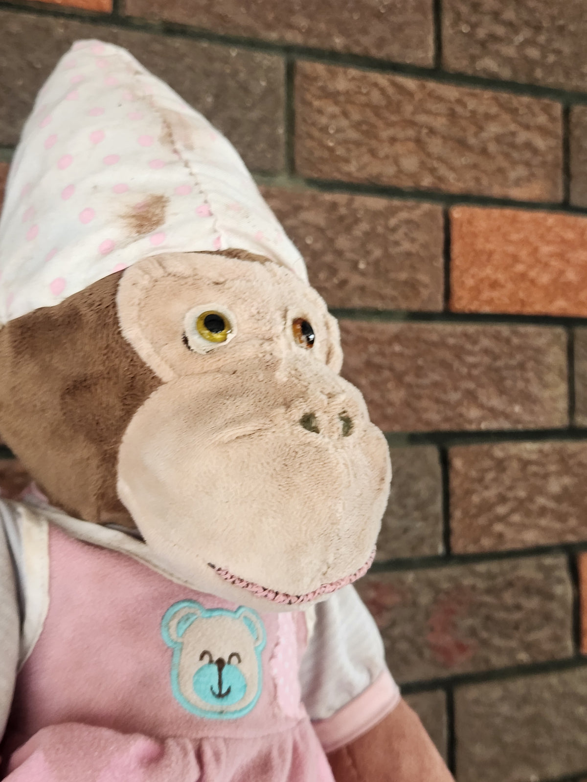 Raggy Monkey