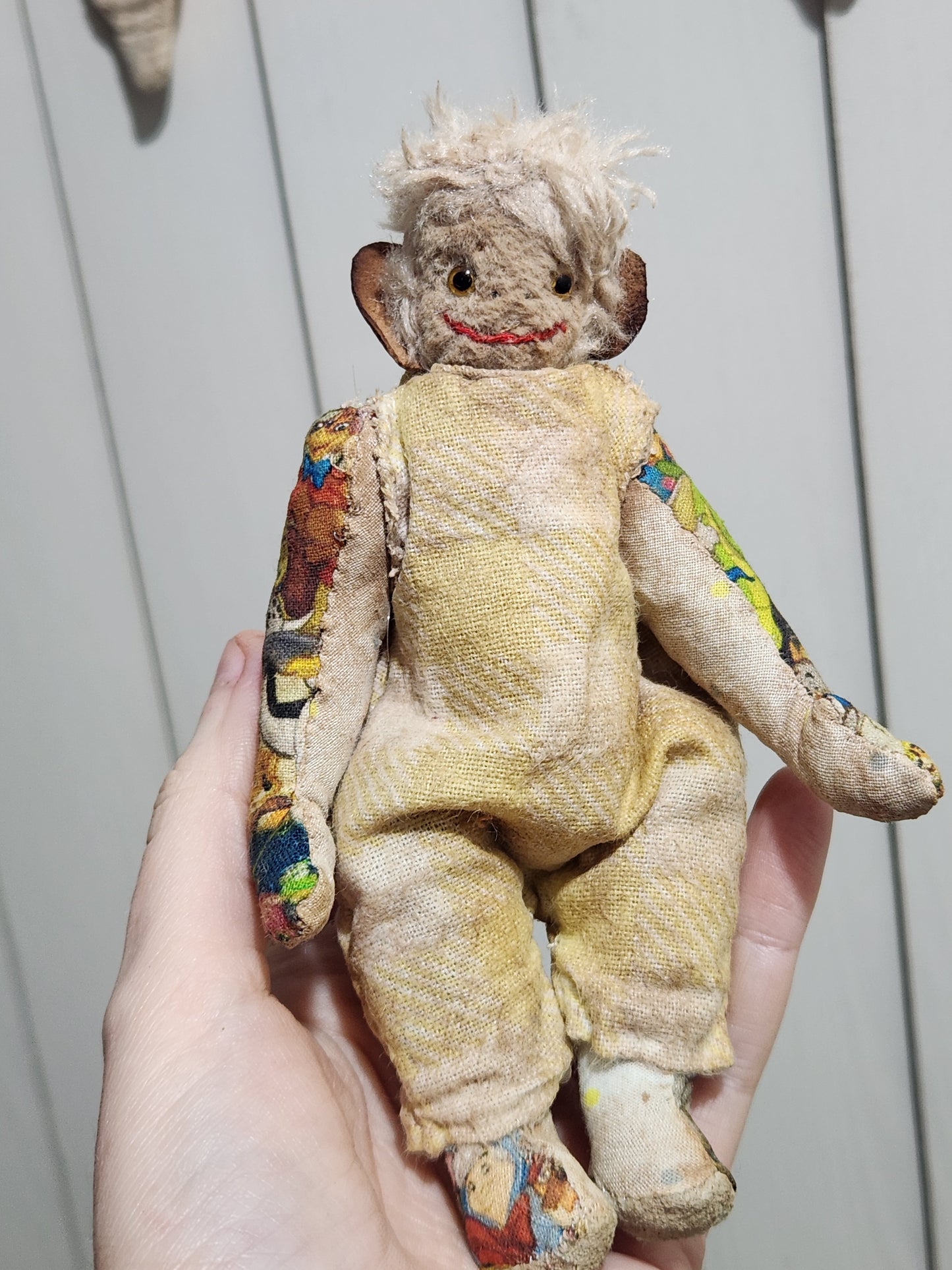 Raggy Monkey