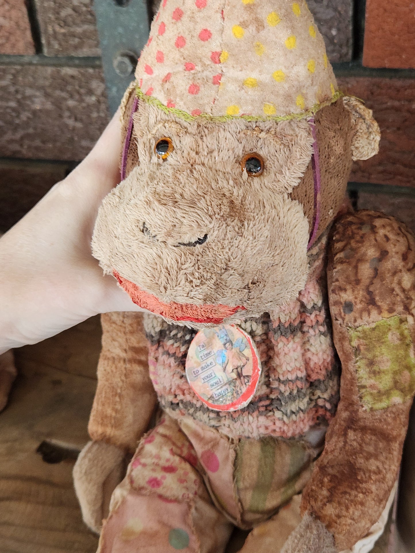 Bug Raggy Chimp