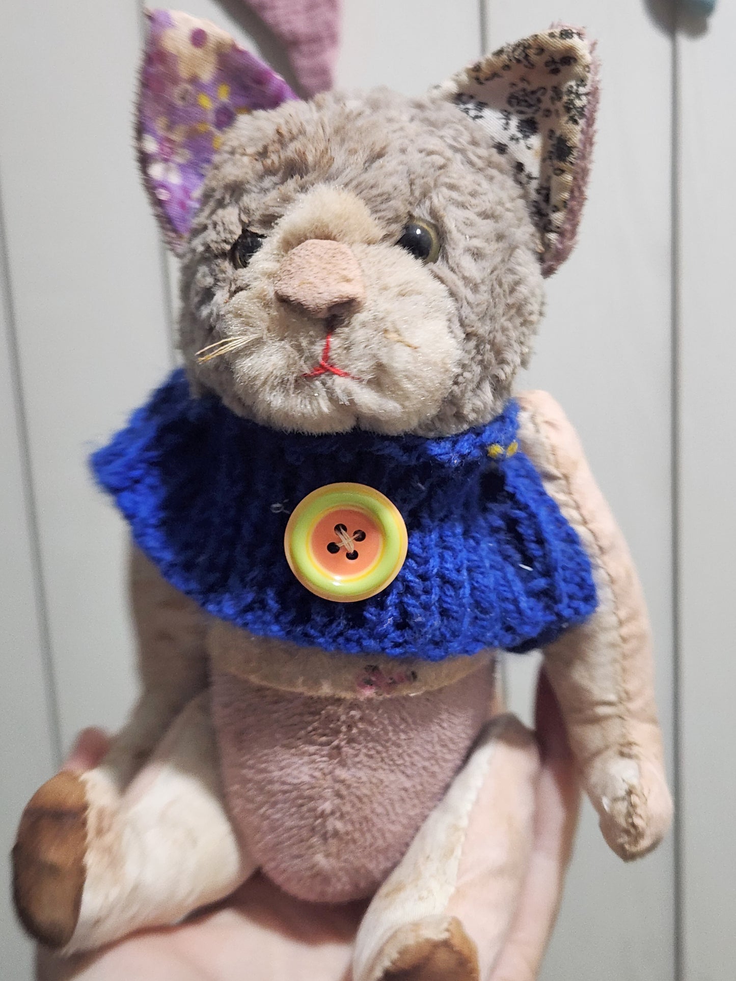Raggy Cat