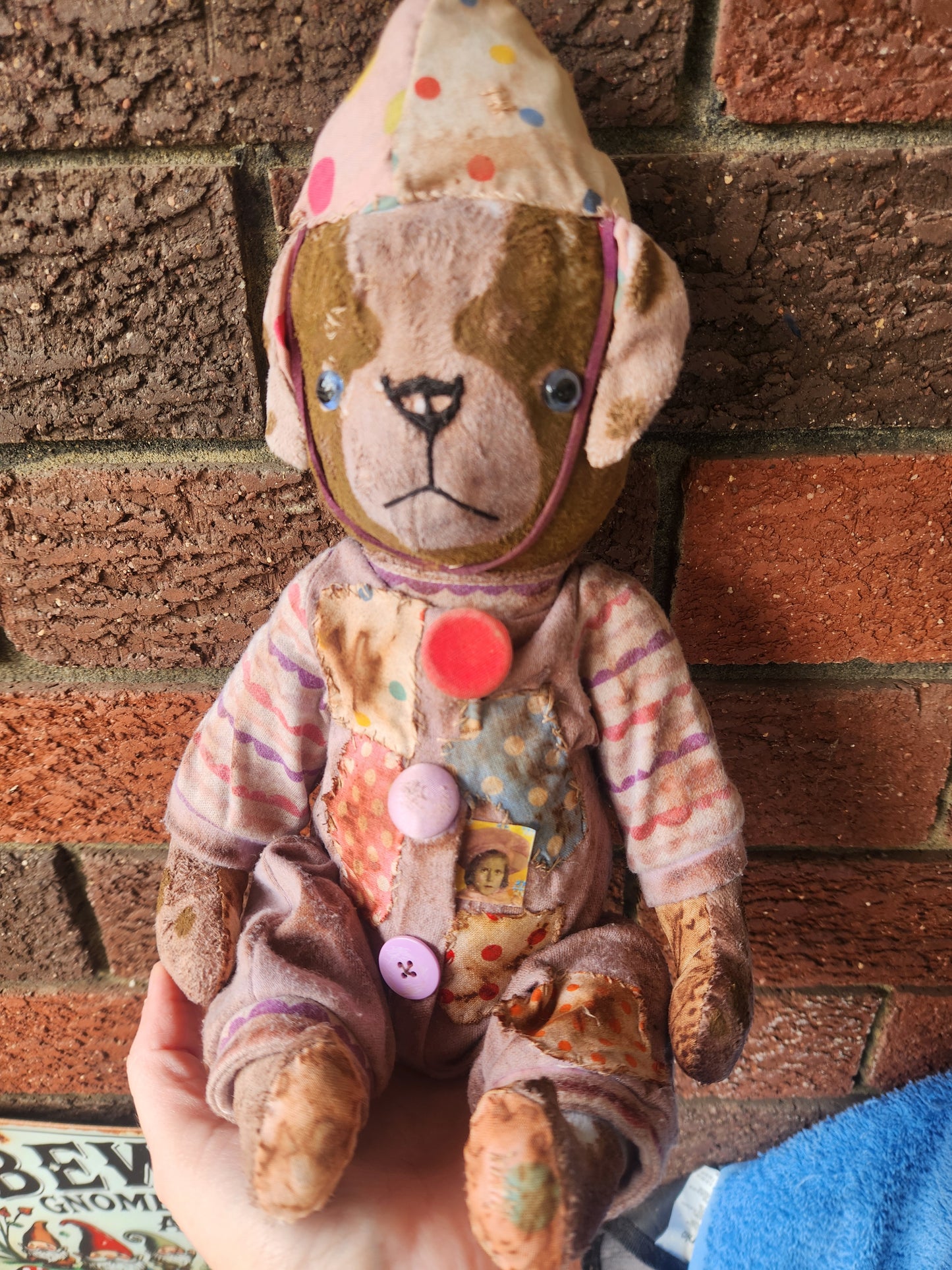 Raggy Clown Dog