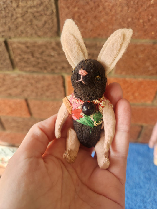 Raggy Rabbit