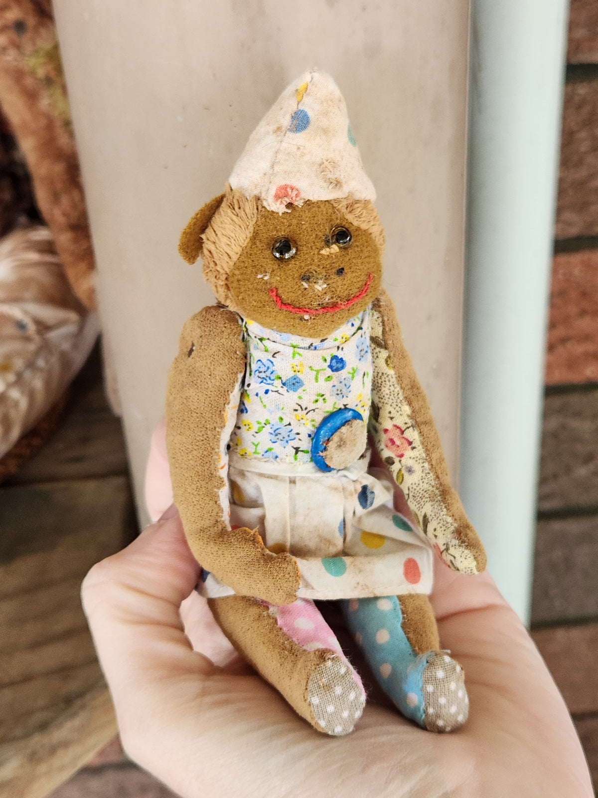 Raggy Monkey