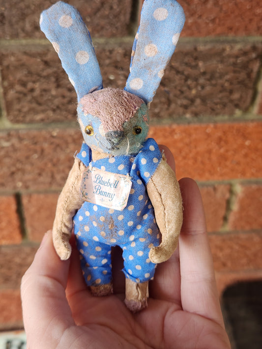 Raggy Rabbit