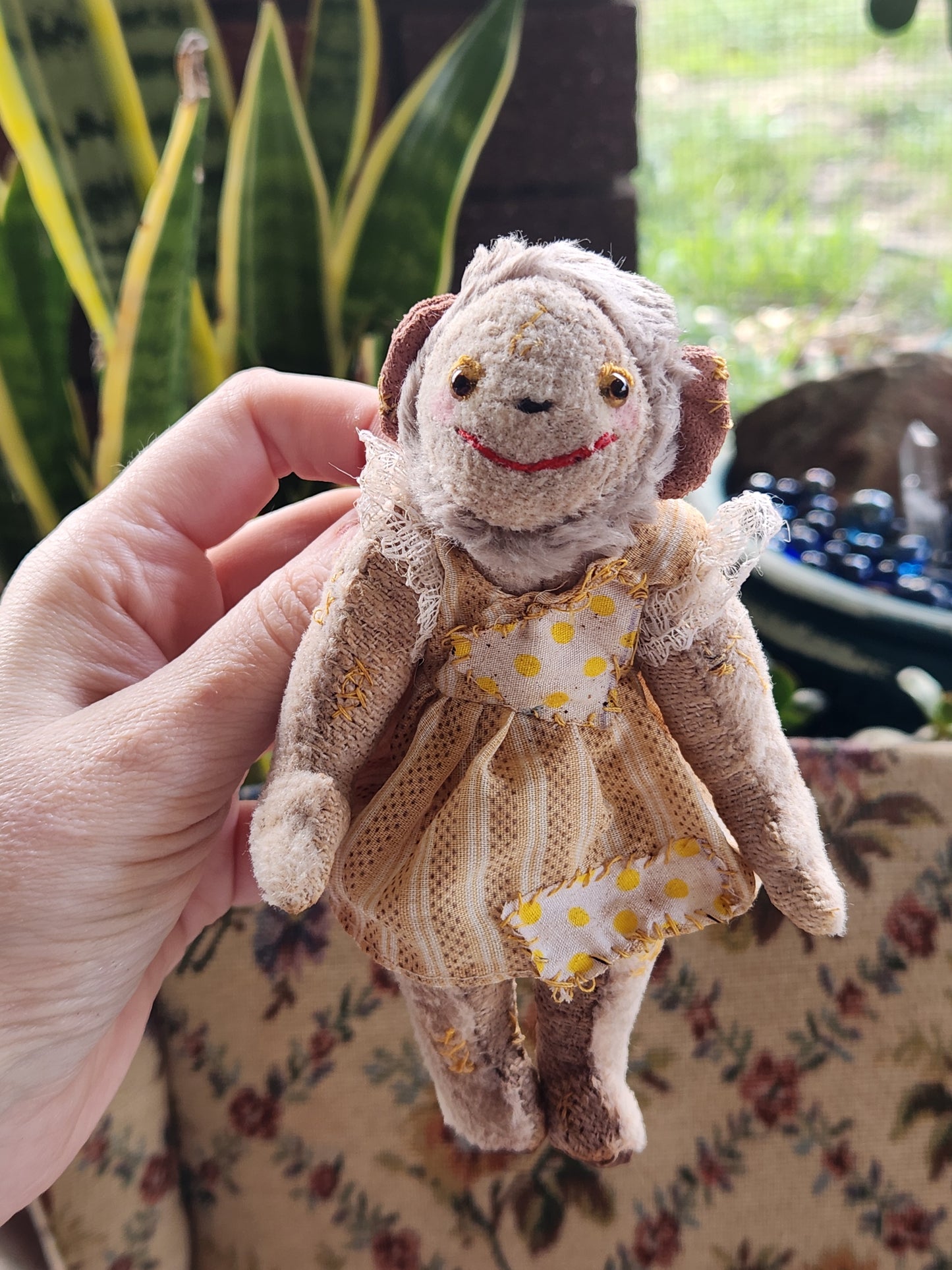 Raggy Monkey